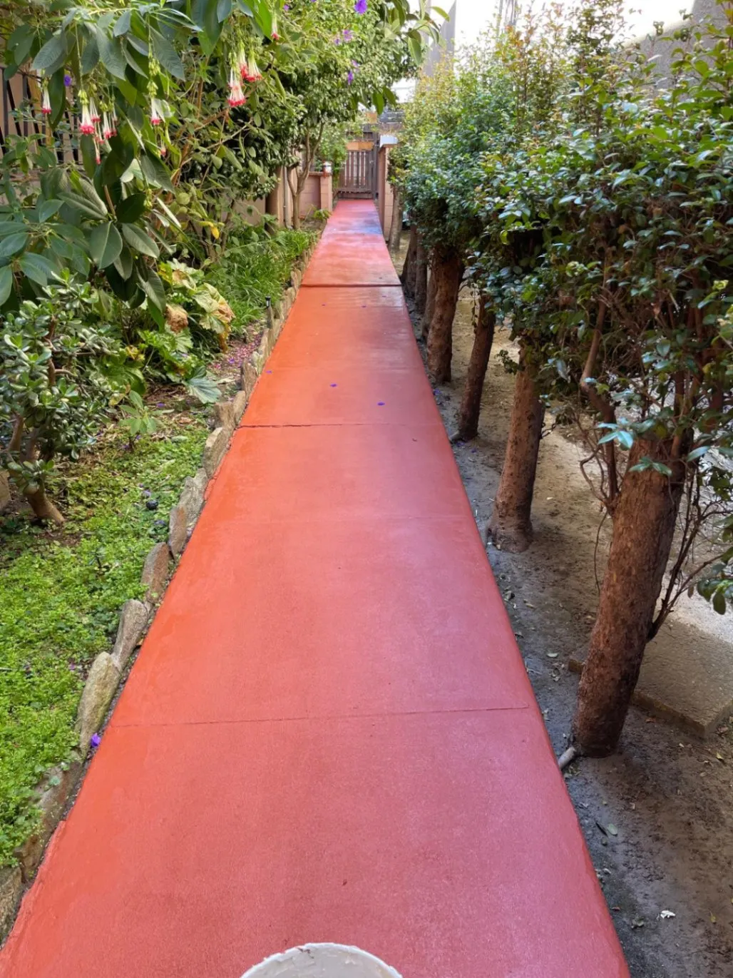 Gallery image 11