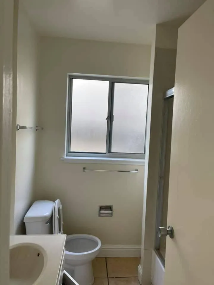 Gallery image 16