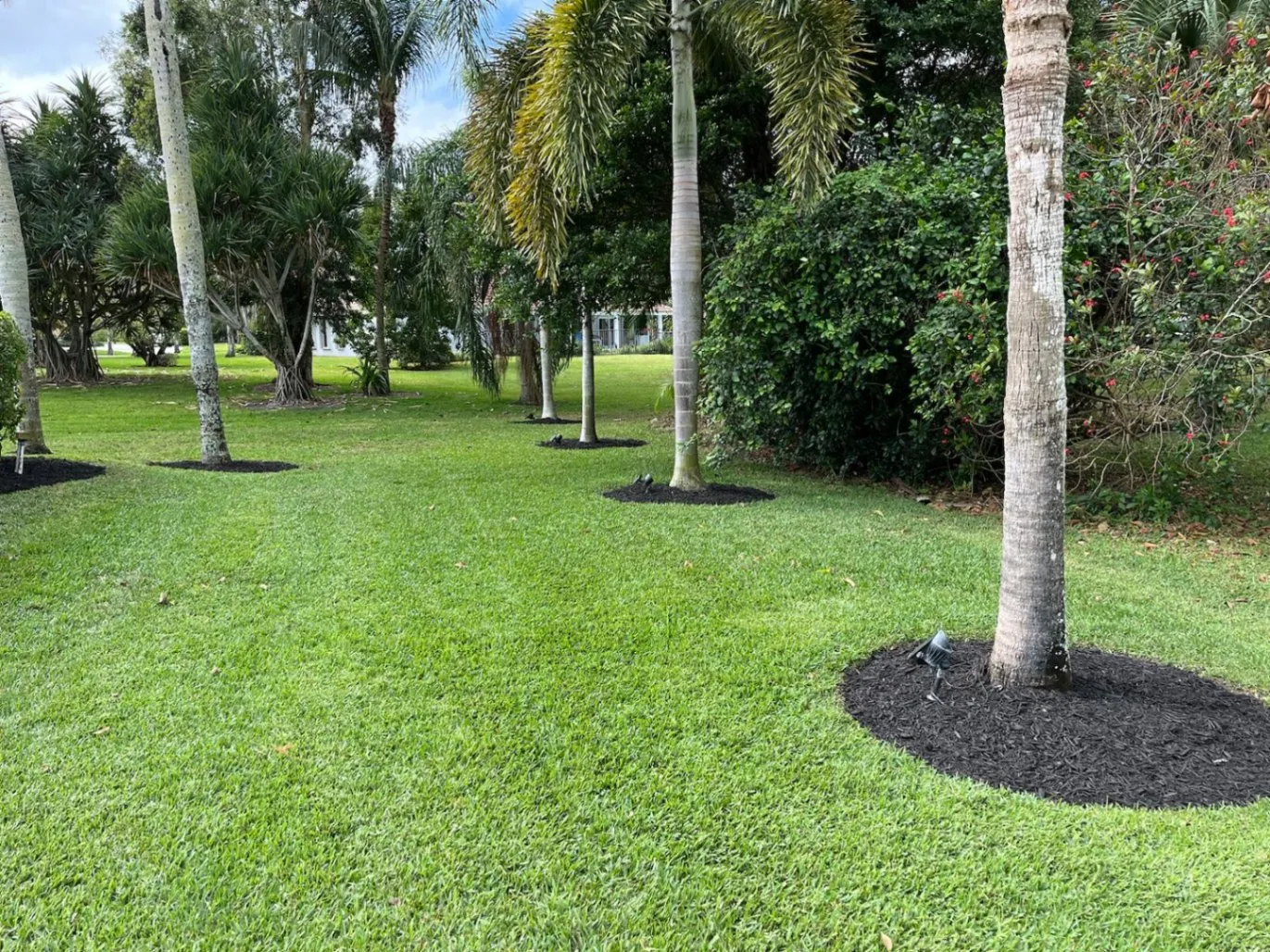 Jose De La Cruz Landscaping Inc