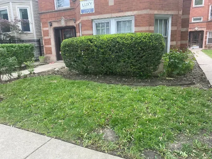 Comprehensive Landscaping and Moving Solutions 3