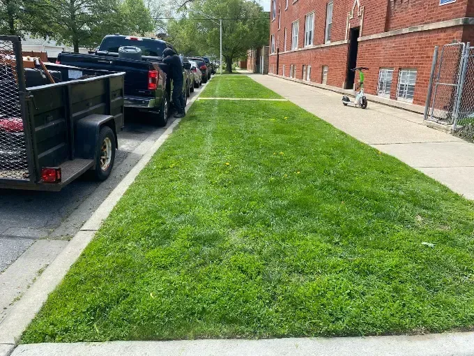 Comprehensive Landscaping and Moving Solutions 2