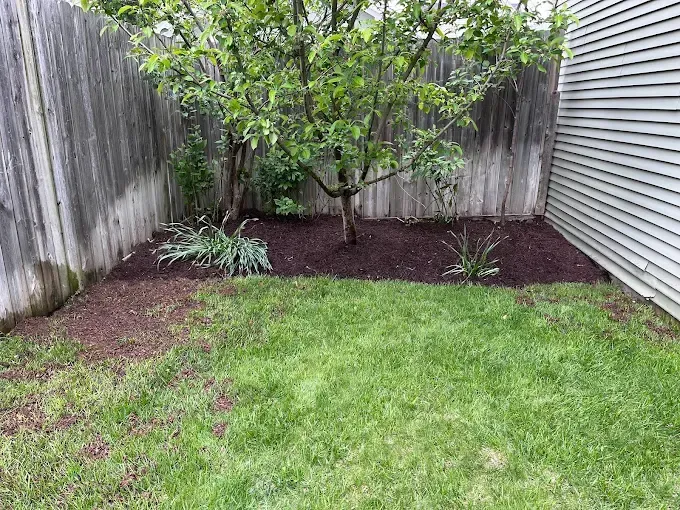 Comprehensive Landscaping and Moving Solutions