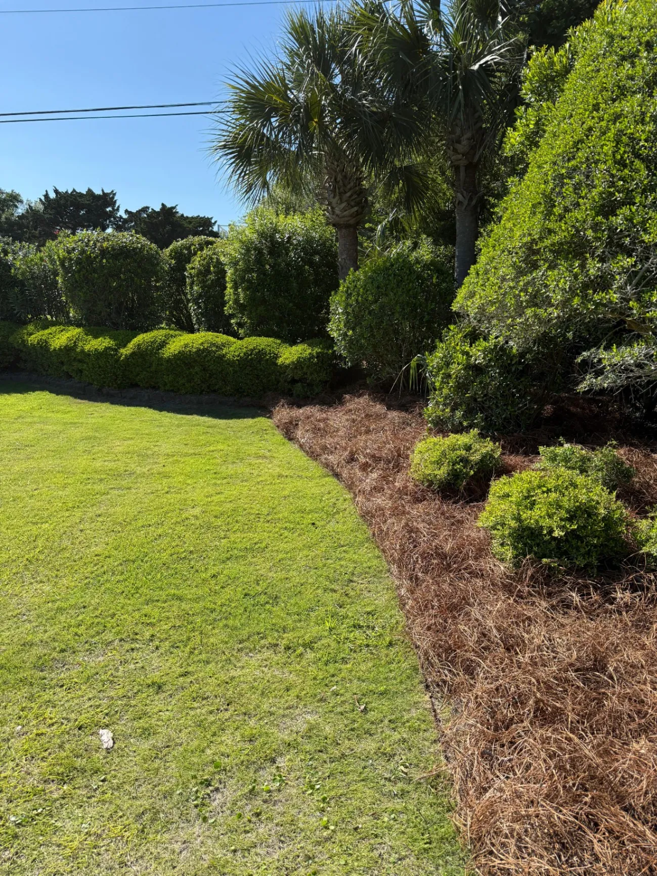 Green up your landscape with Green Land Landscape's expert touch. - avatar