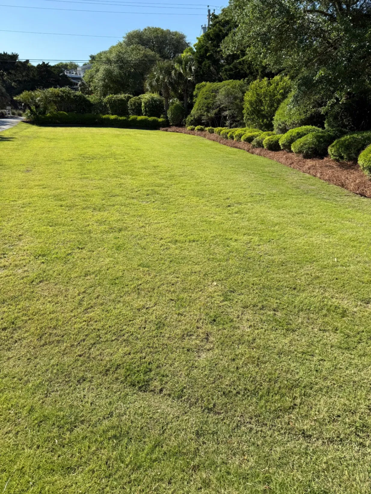 Green up your landscape with Green Land Landscape's expert touch. - banner