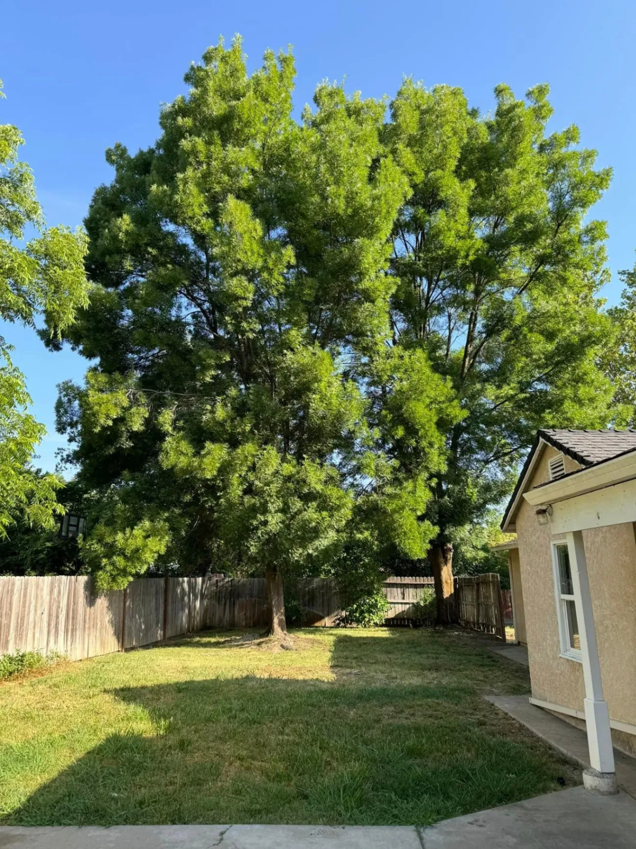 Gallery image 12
