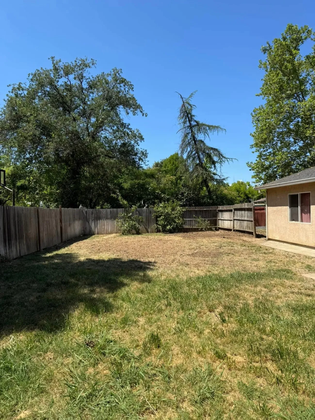 Gallery image 13
