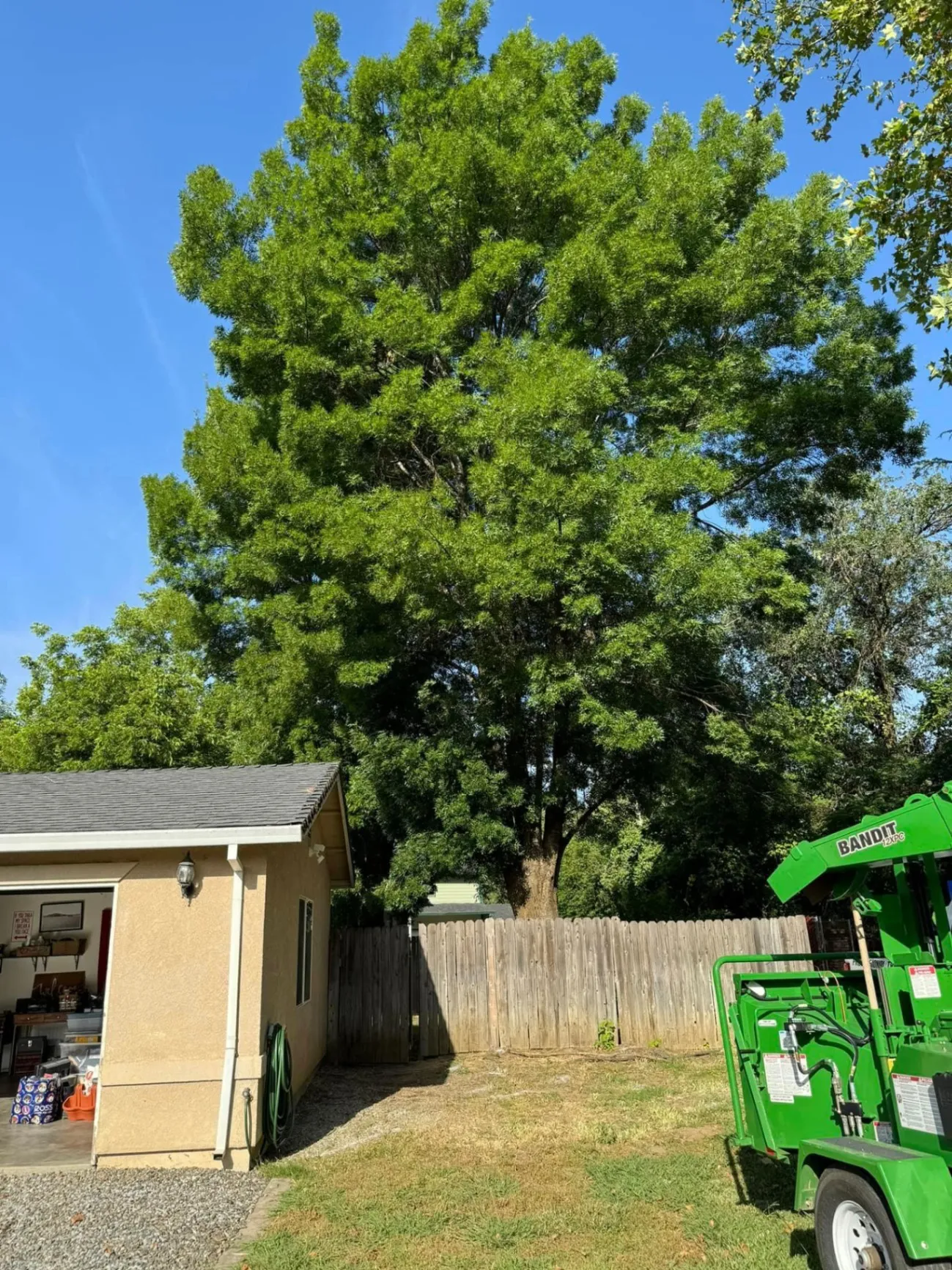 Gallery image 14