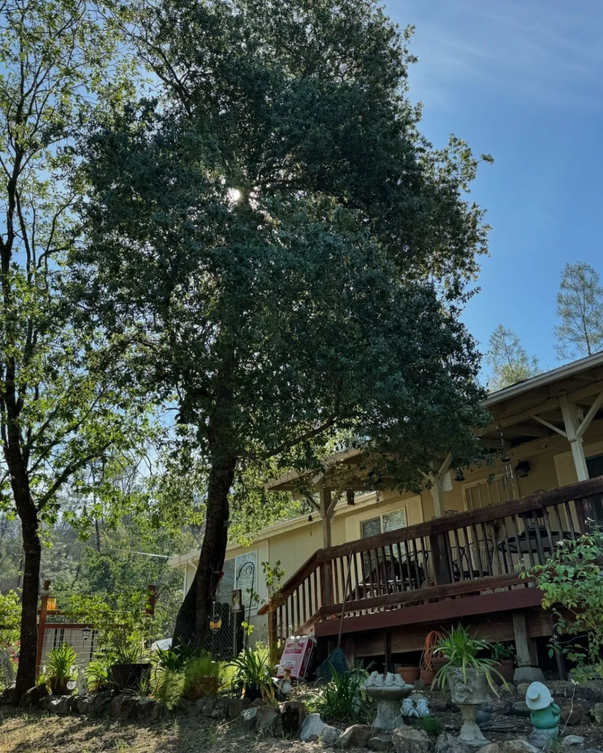 Gallery image 15