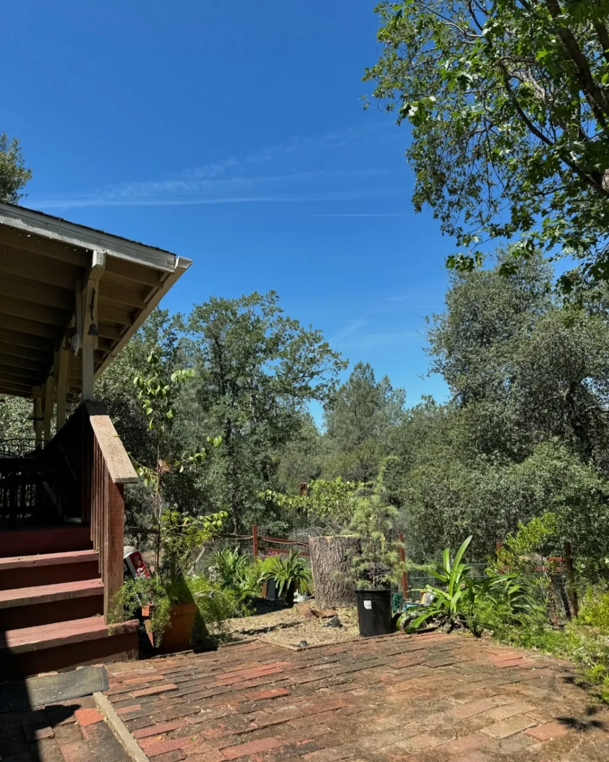Gallery image 16