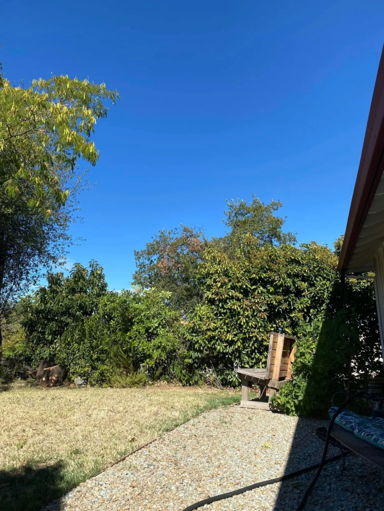 Gallery image 31