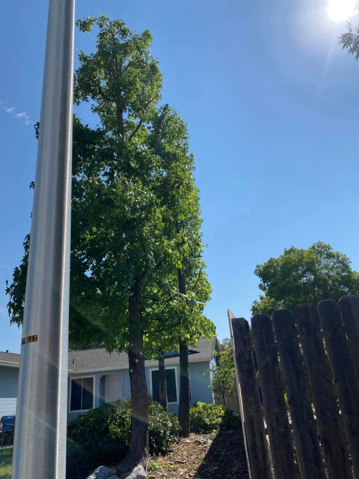 Emergency Tree Services