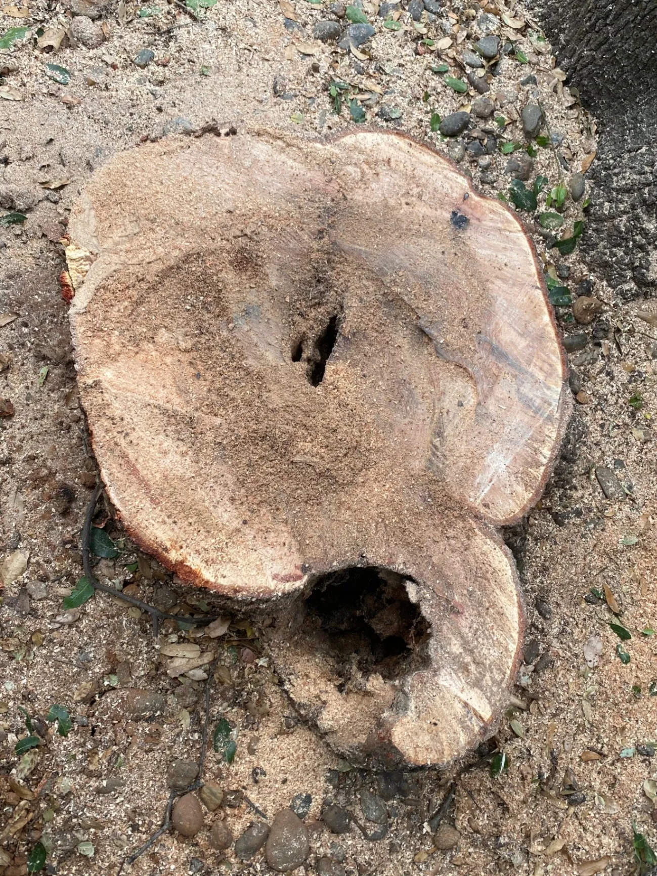 Gallery image 10