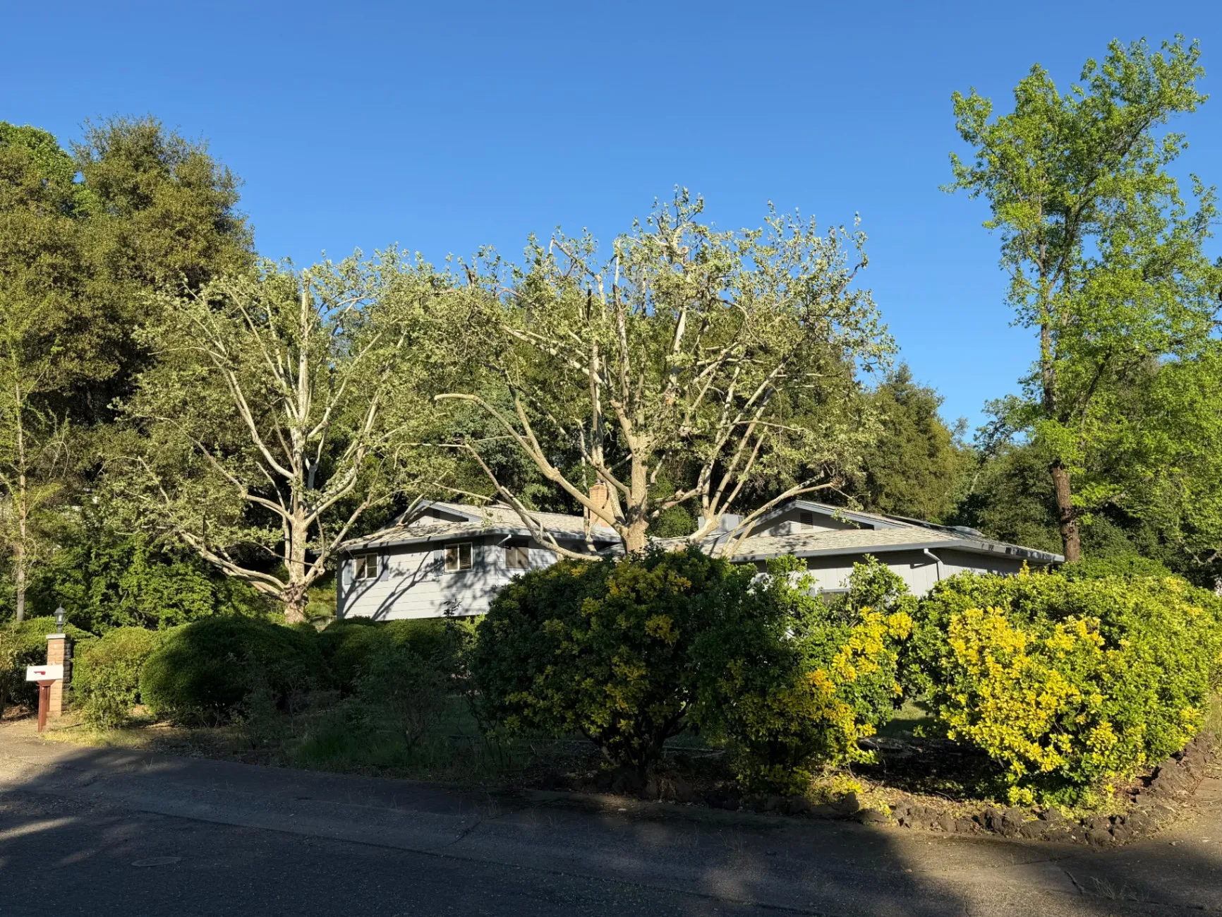 Gallery image 53