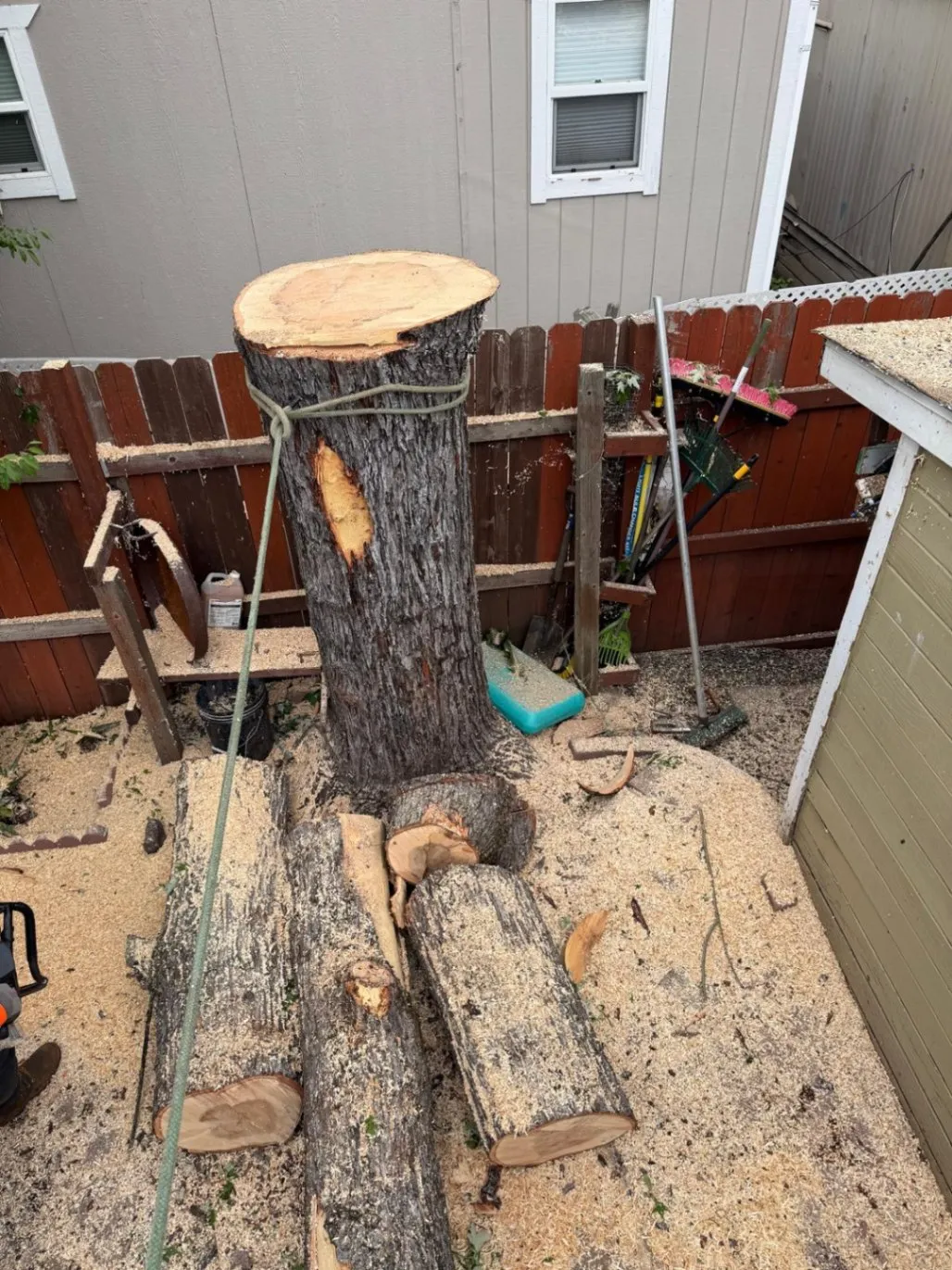 Gallery image 56
