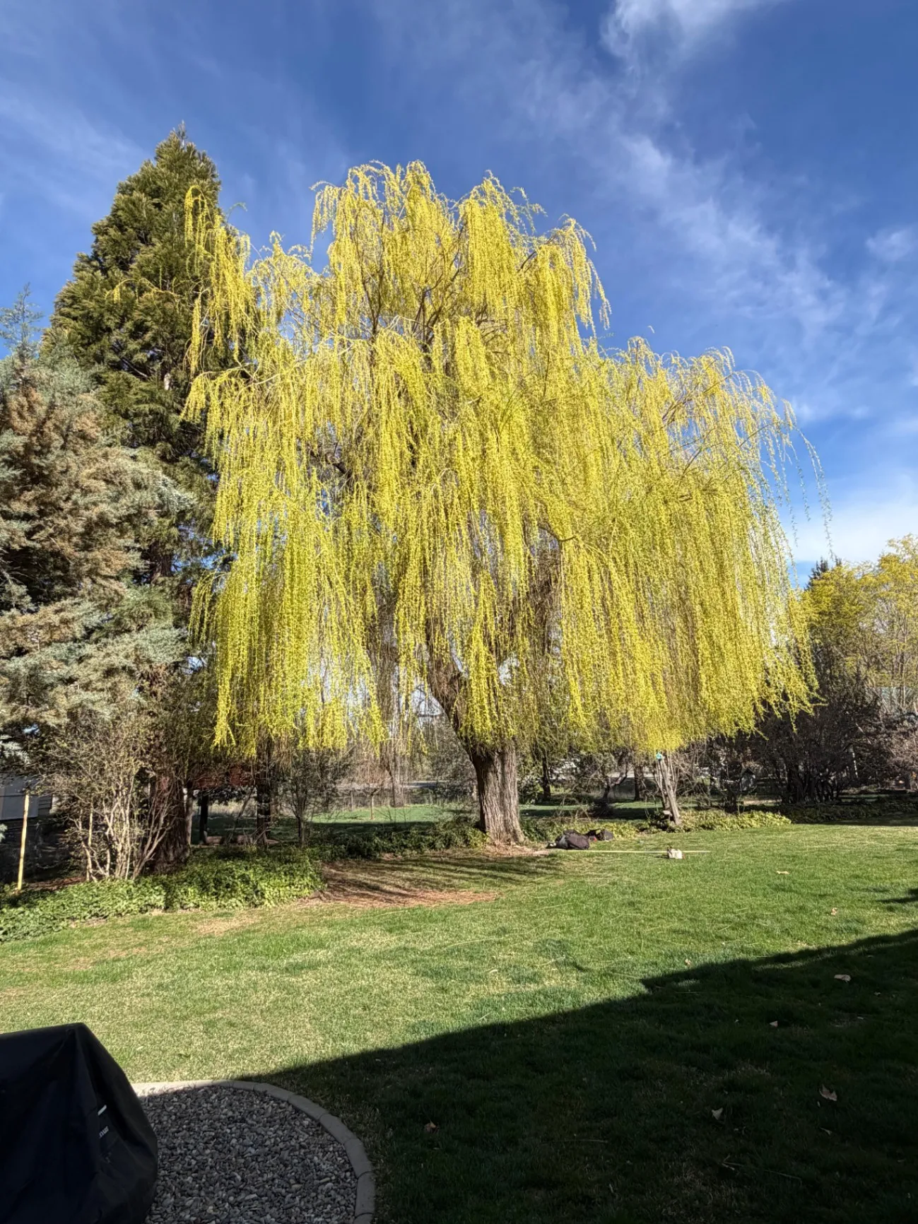 Gallery image 57