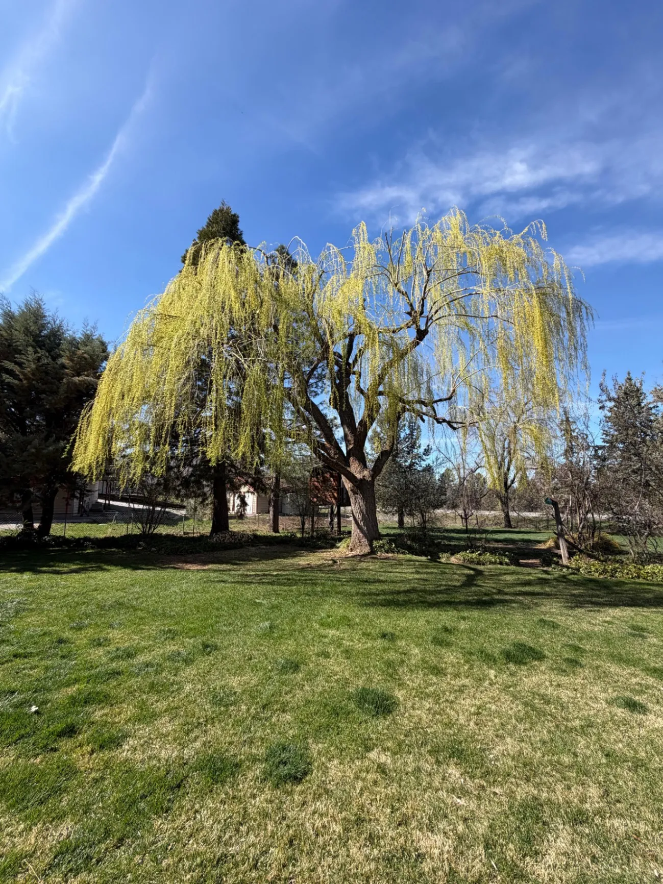 Gallery image 58