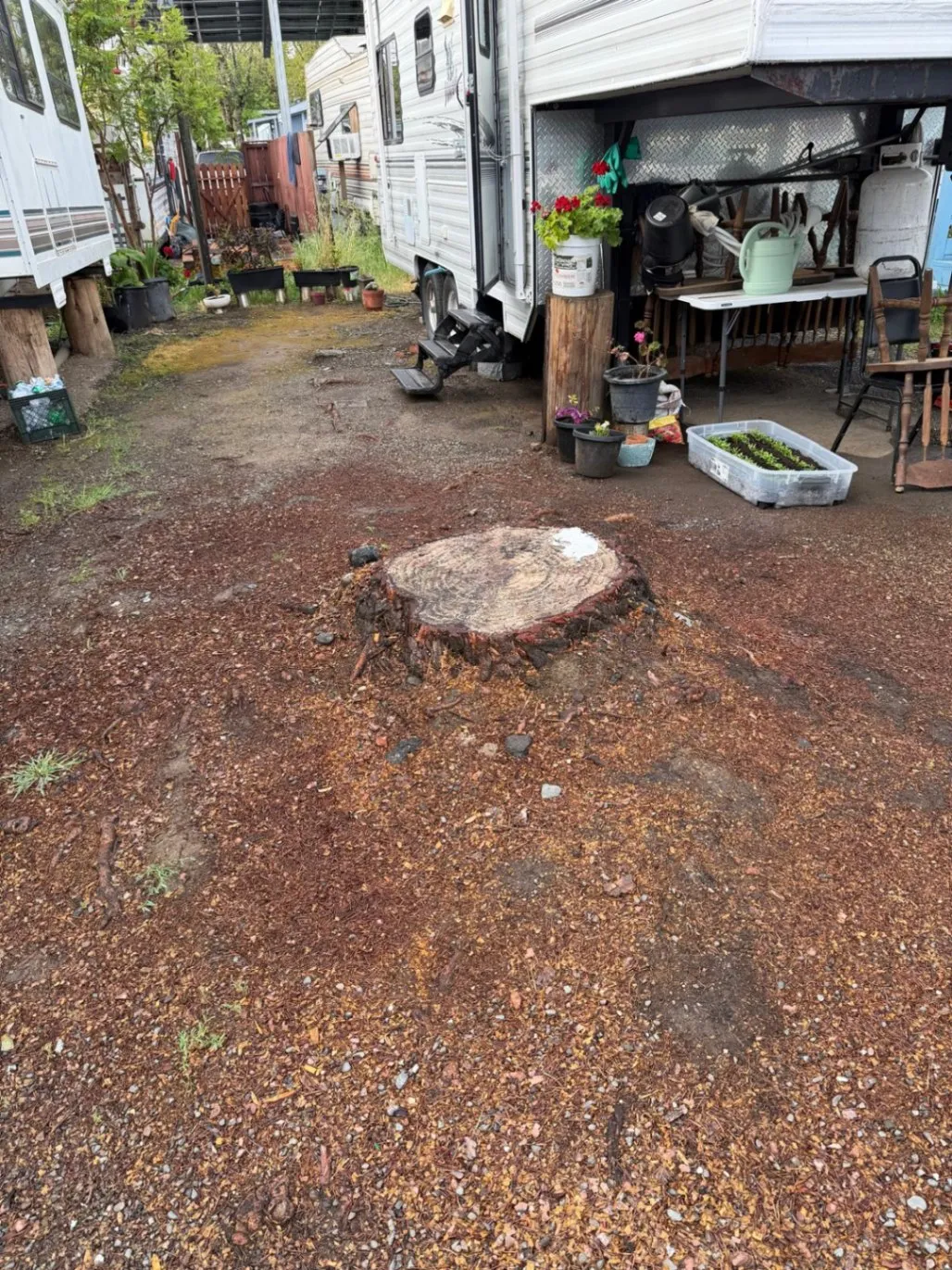 Gallery image 62