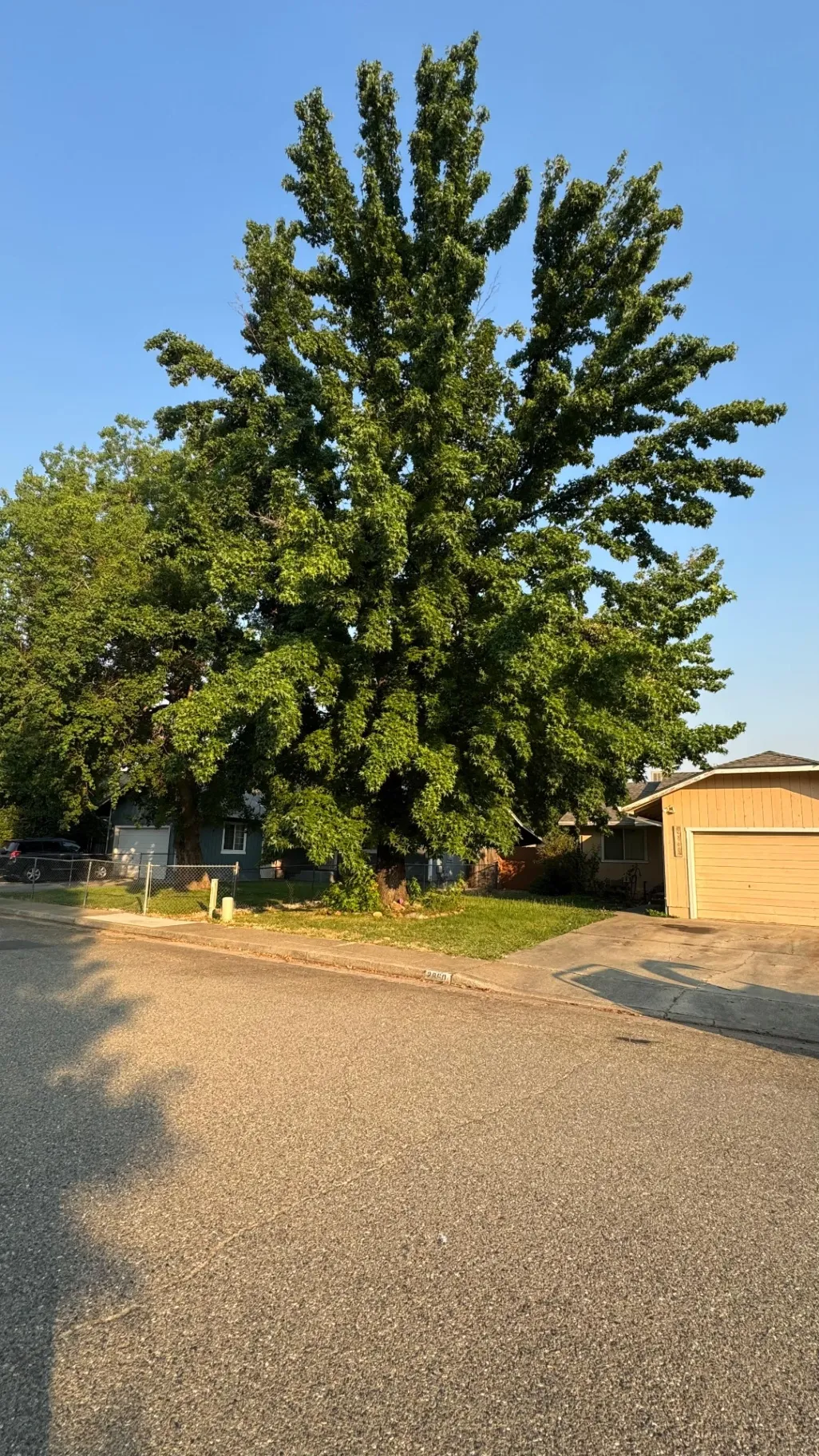 Gallery image 11