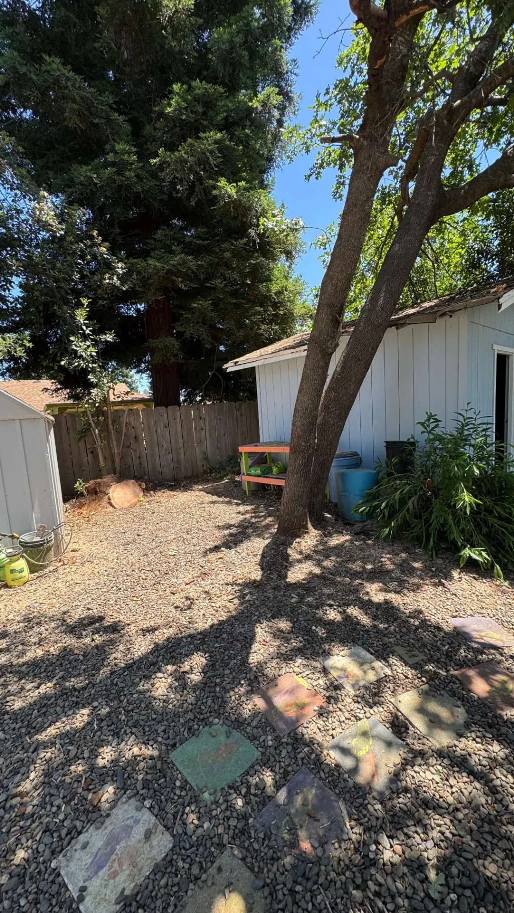 Gallery image 13