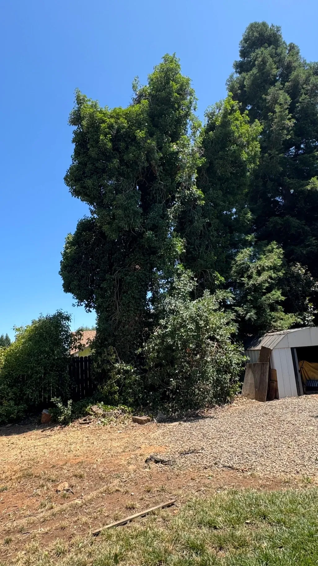 Gallery image 14