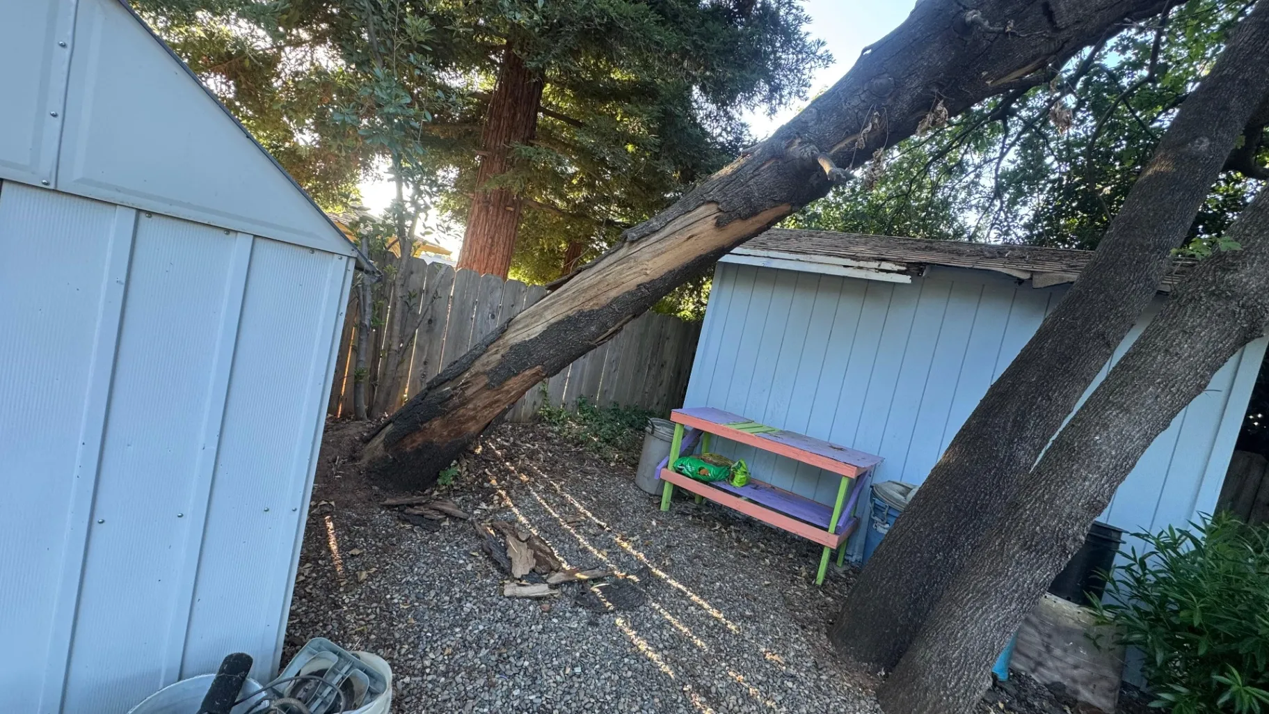 Gallery image 15