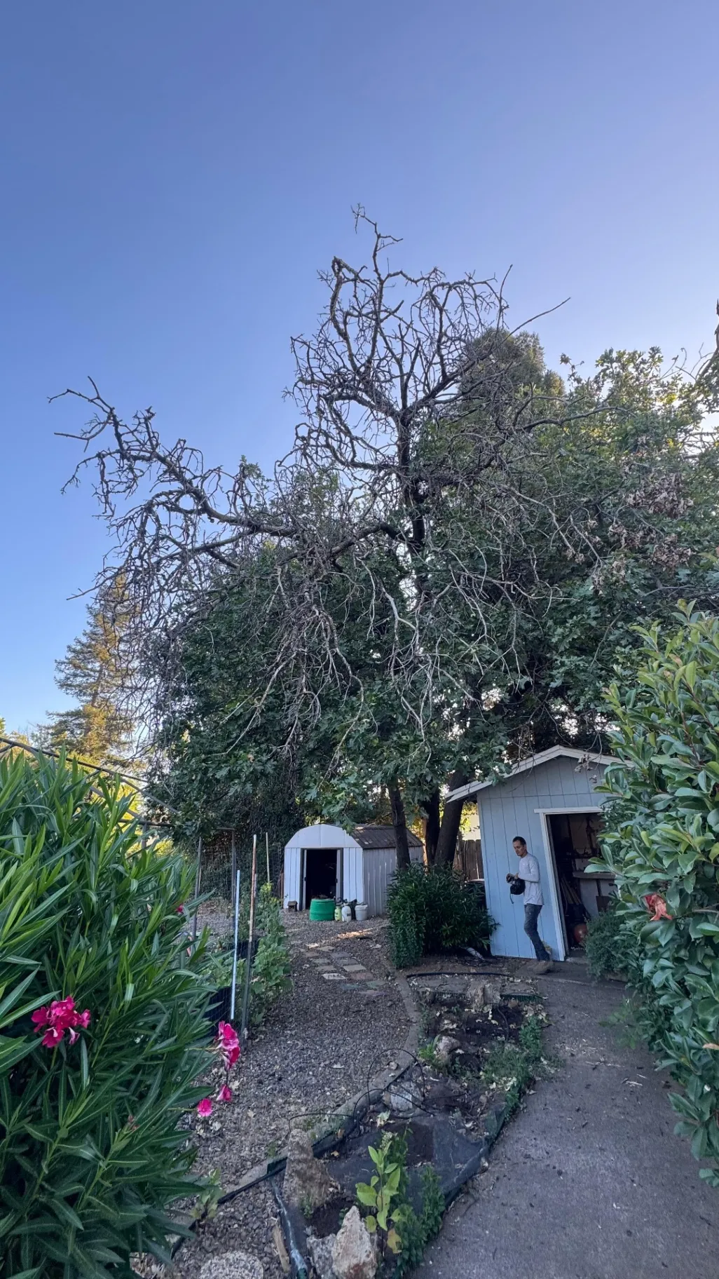 Gallery image 16