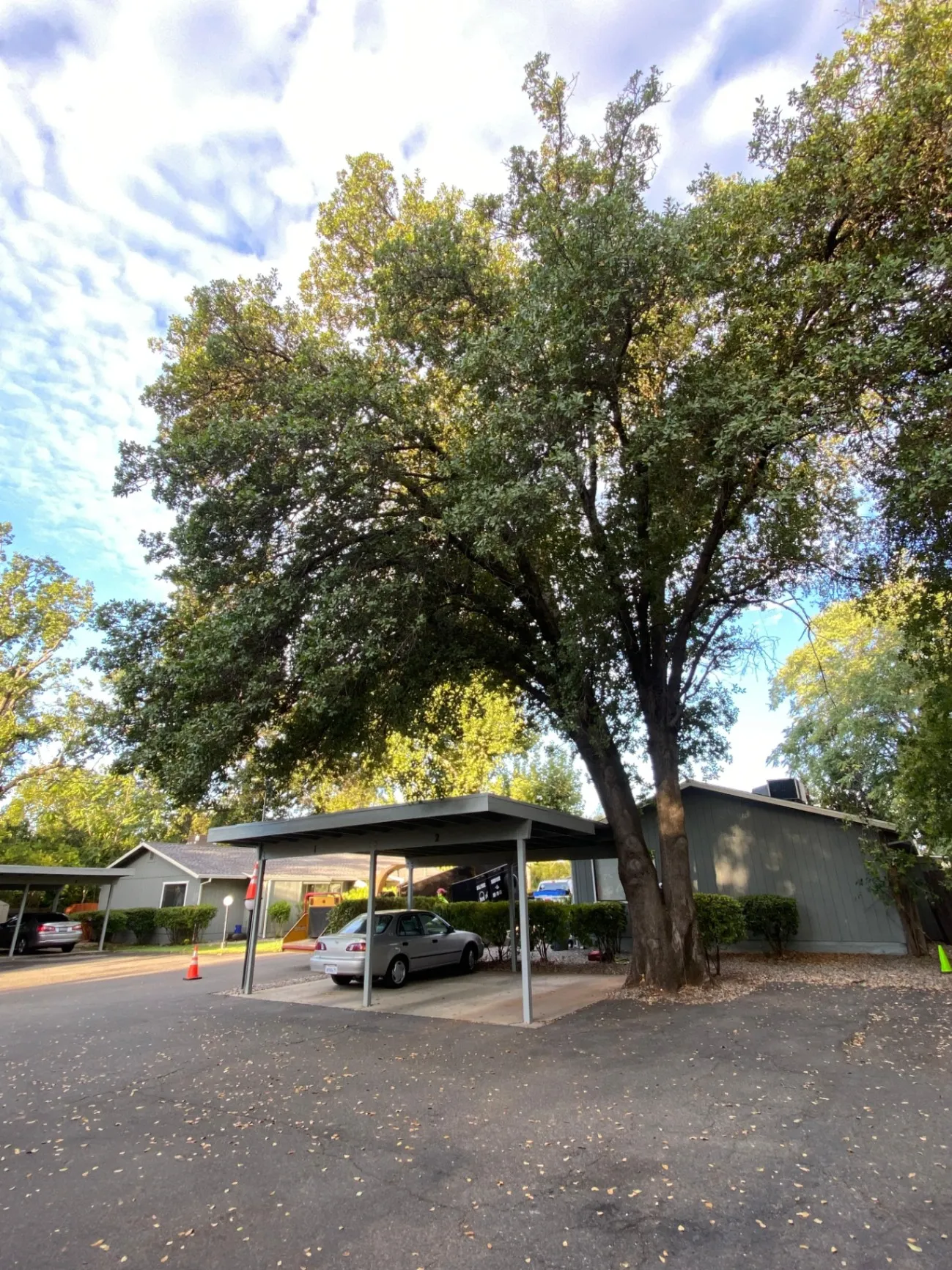 Gallery image 21