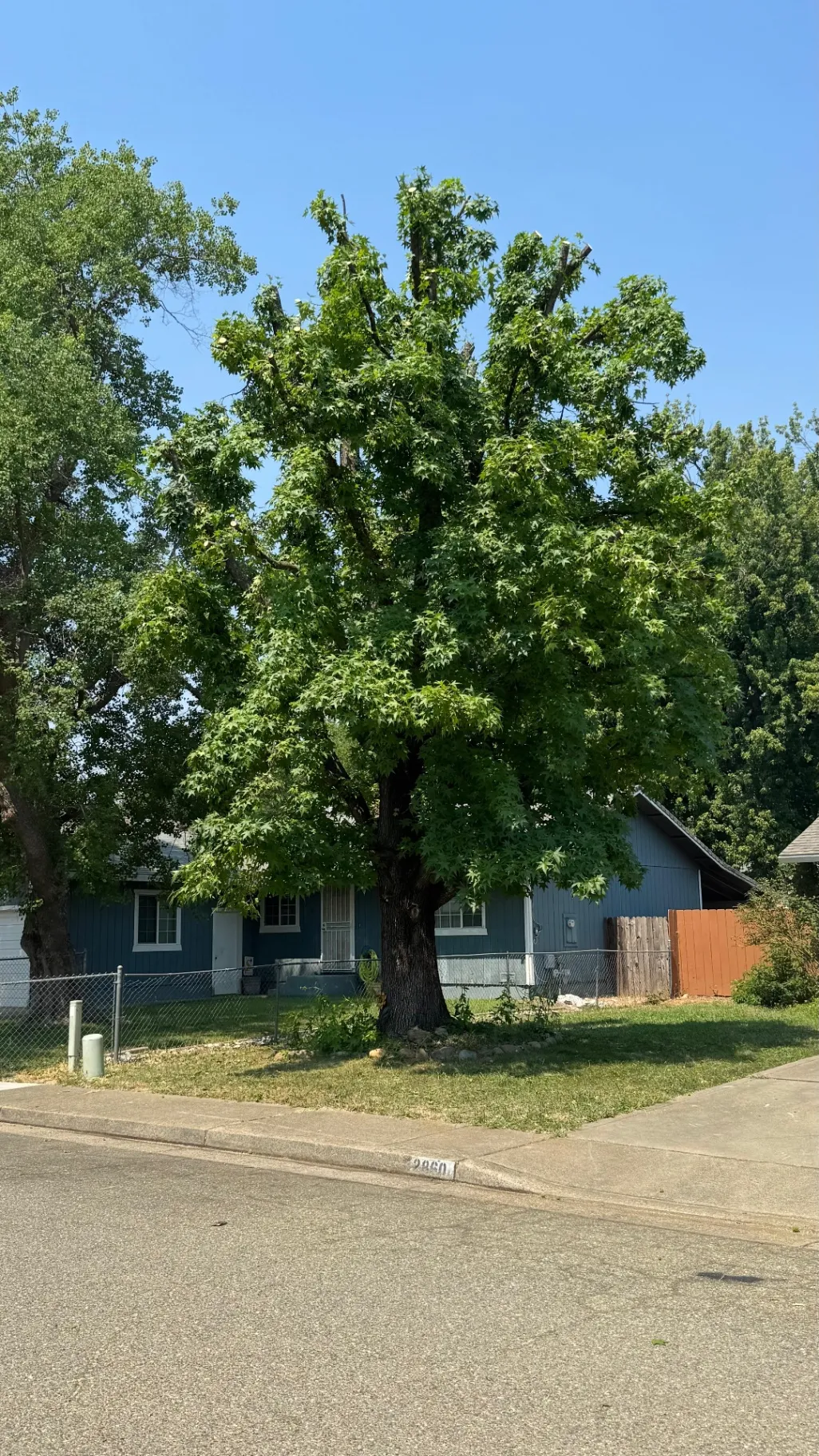 Gallery image 28