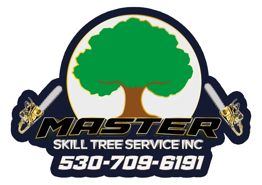 Master Skill Tree Service Inc