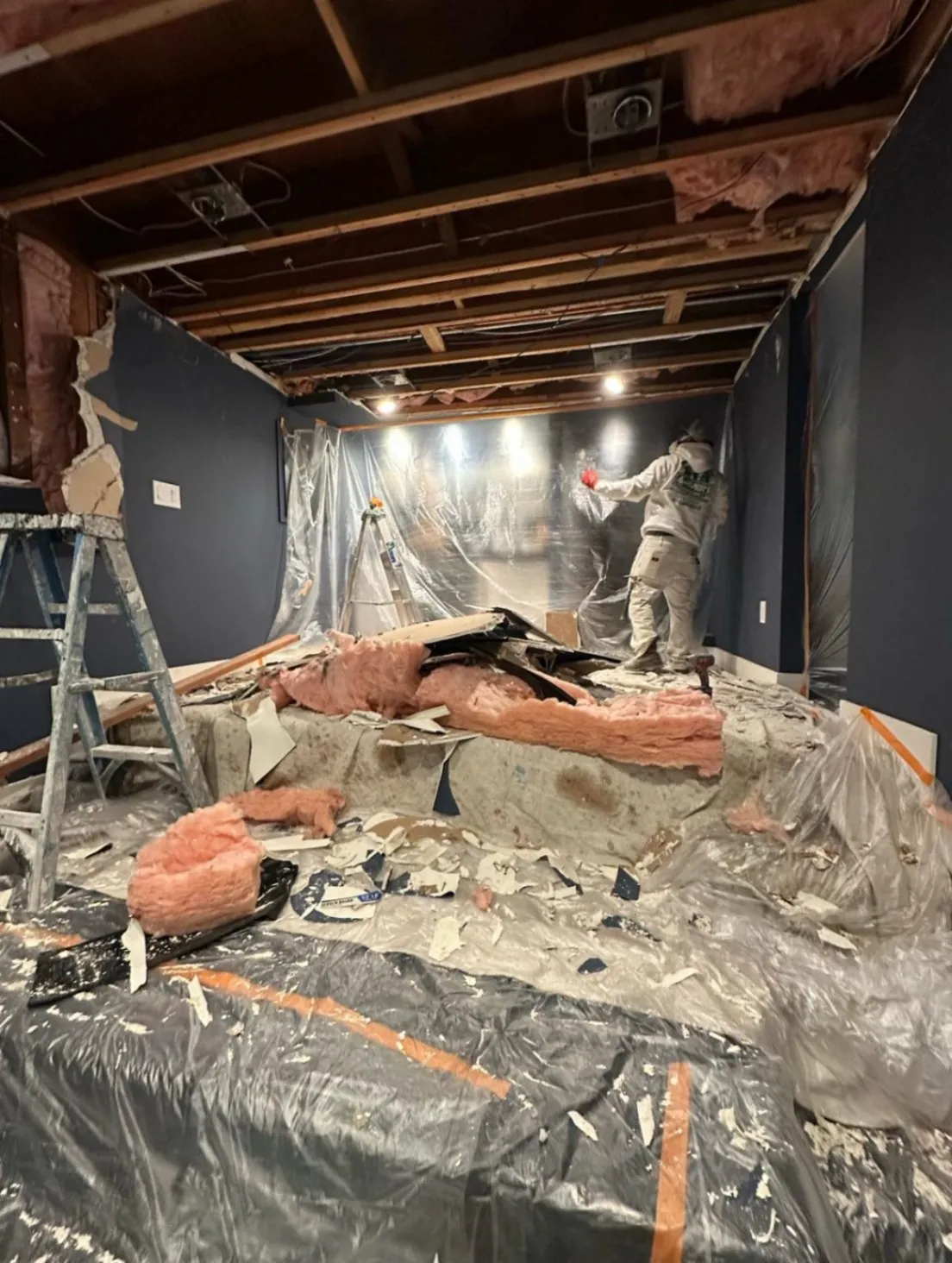 Gallery image 5