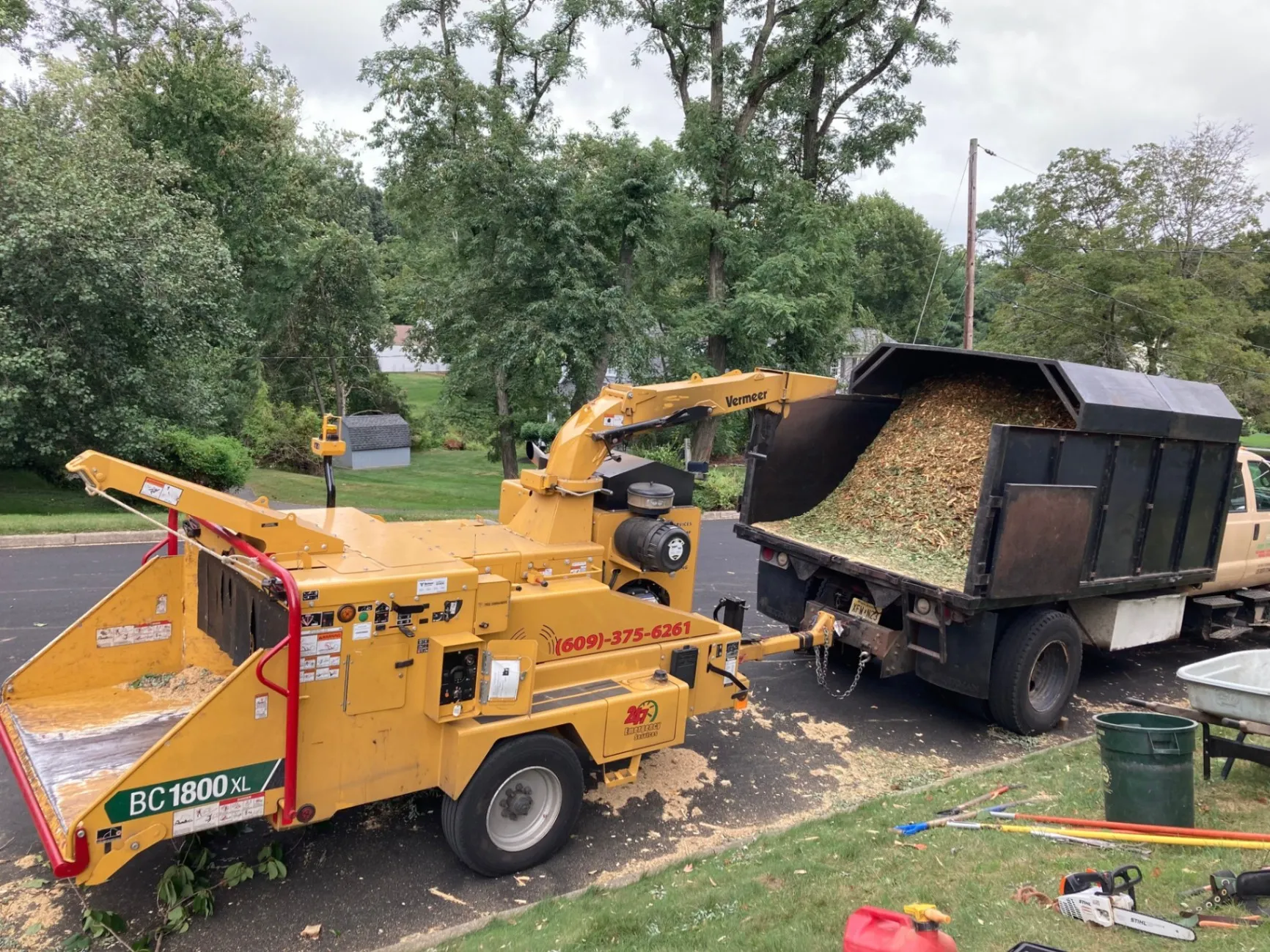 Stump Grinding