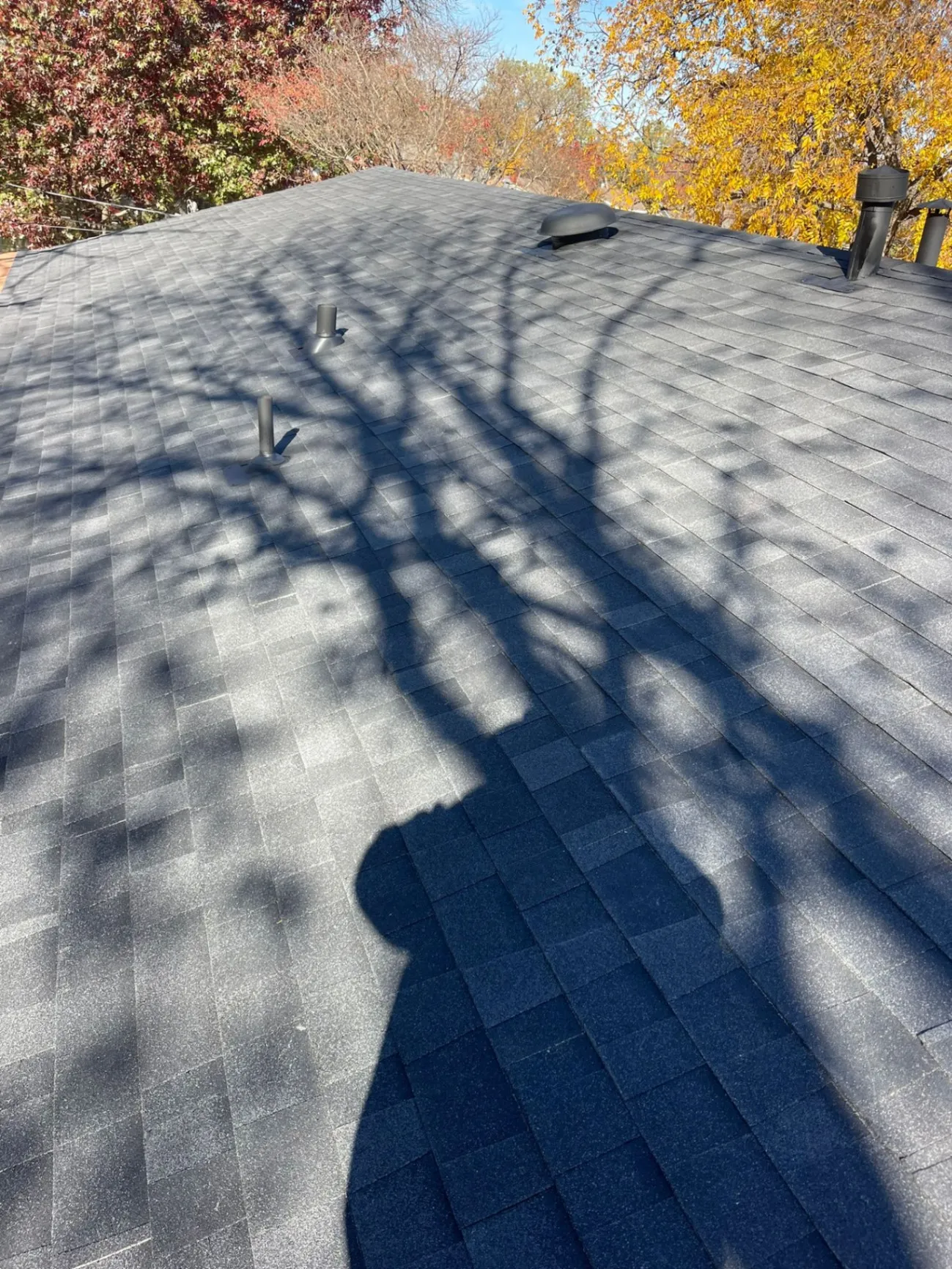 Gallery image 11