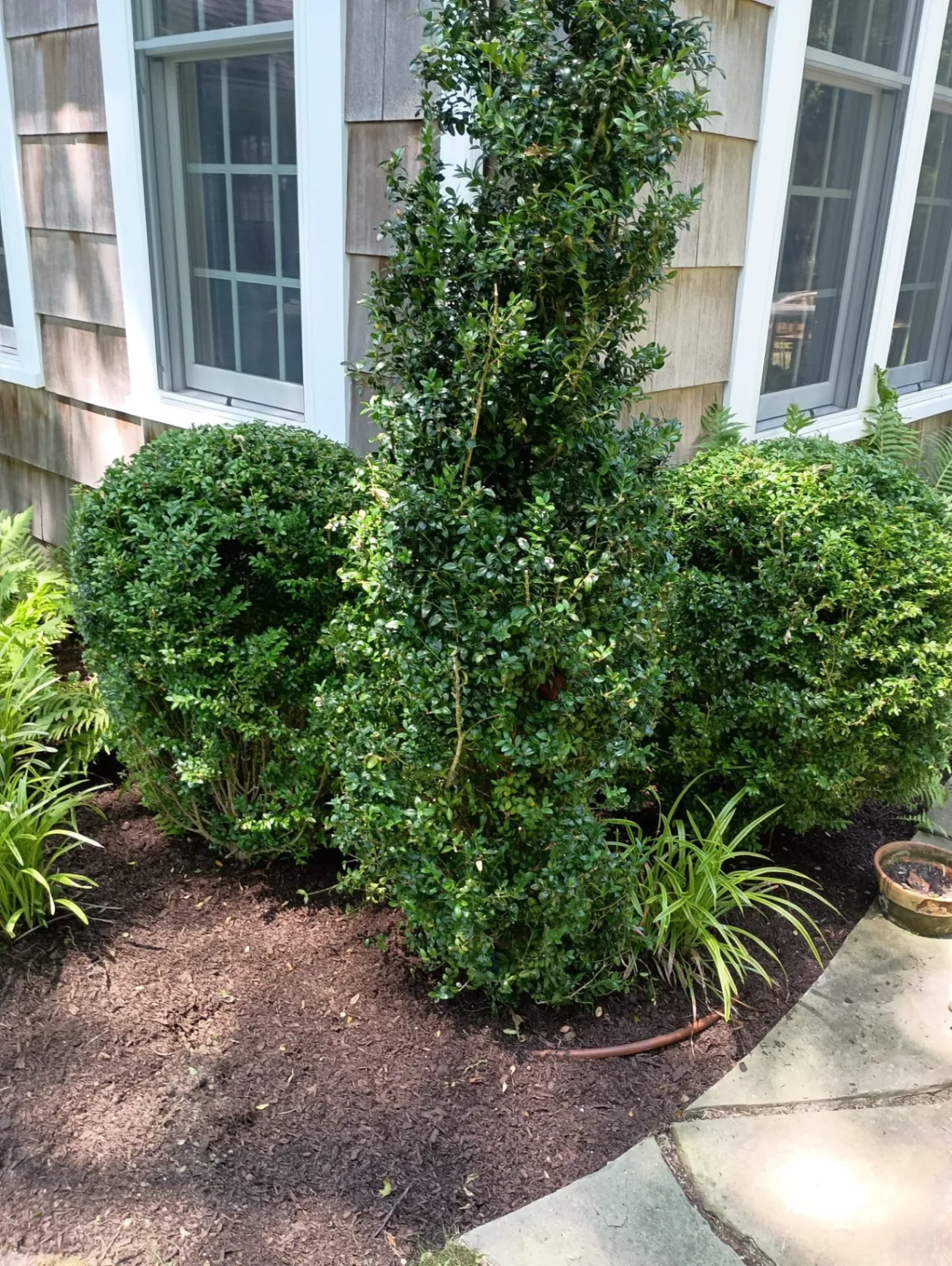 Oriente Conception Landscaping