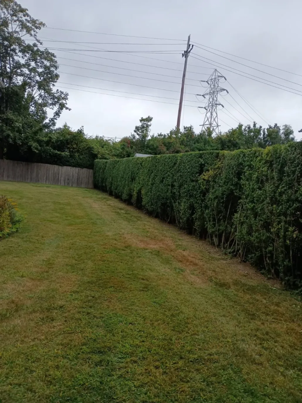 Oriente Conception Landscaping