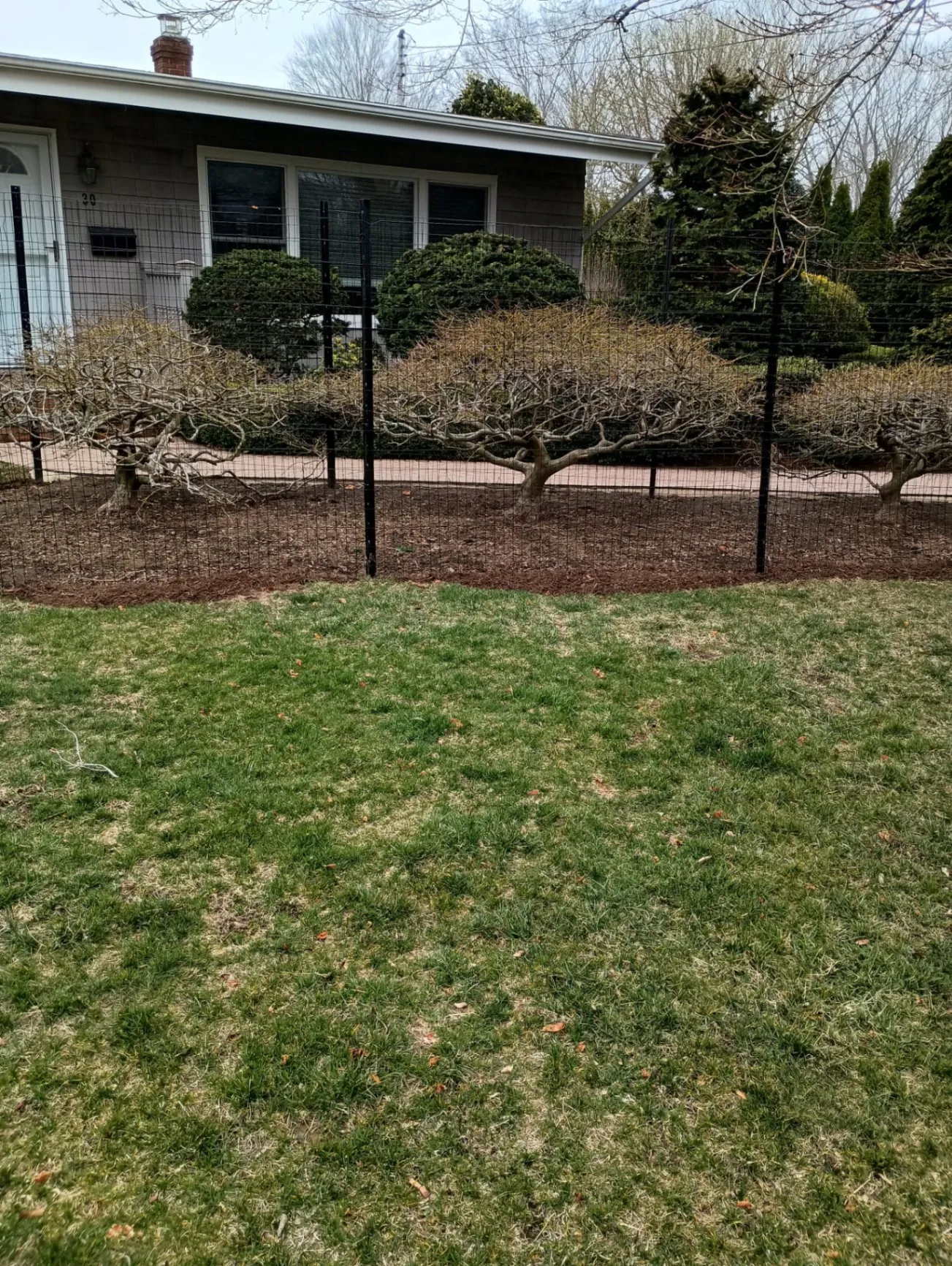 Gallery image 17