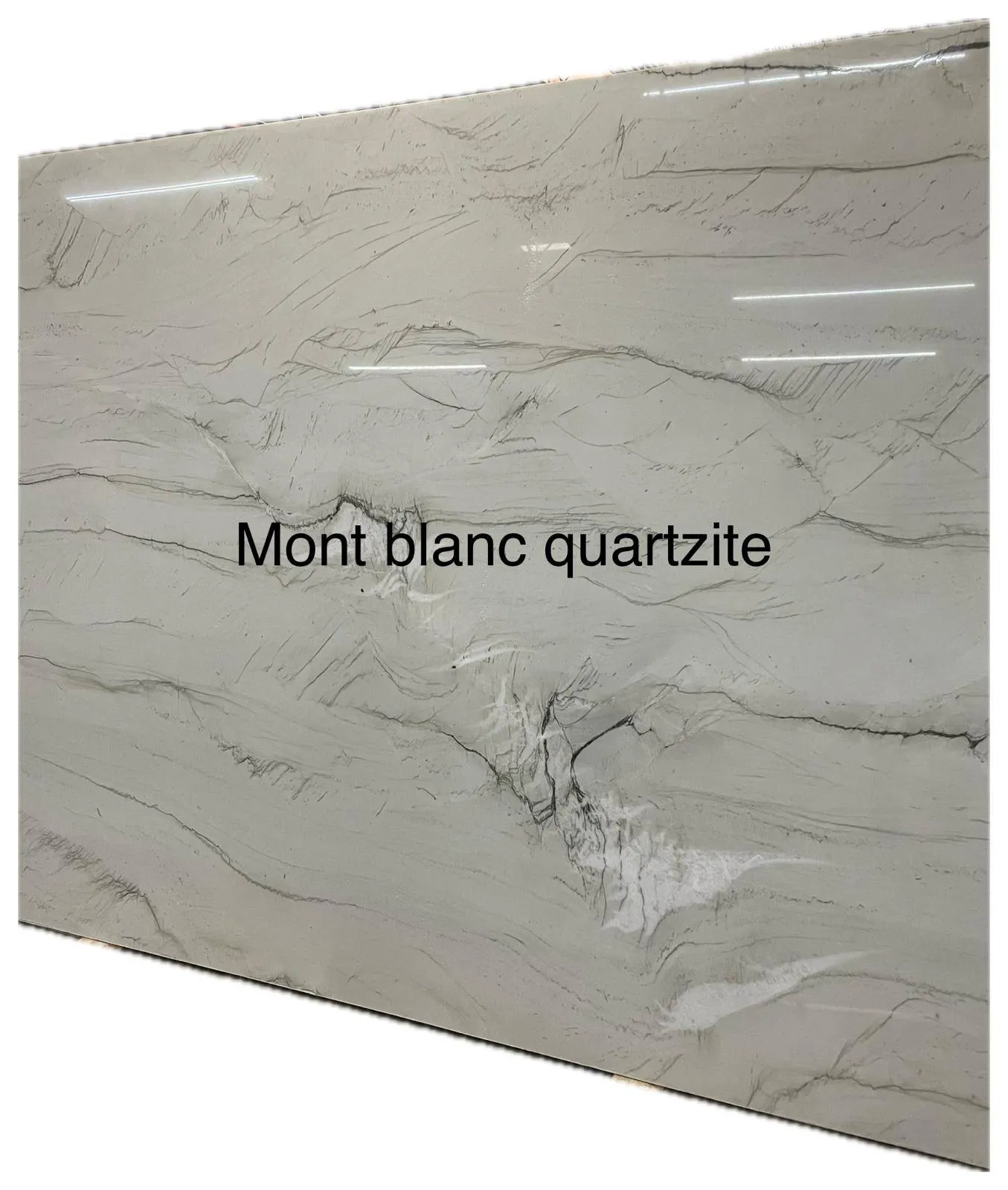 Mont Blanc Quartzite