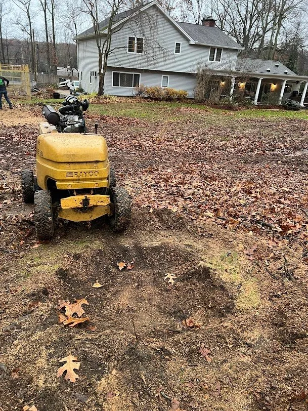 Stump Grinding Services