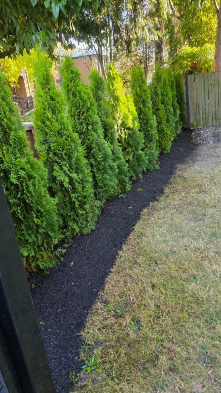 Gallery image 12