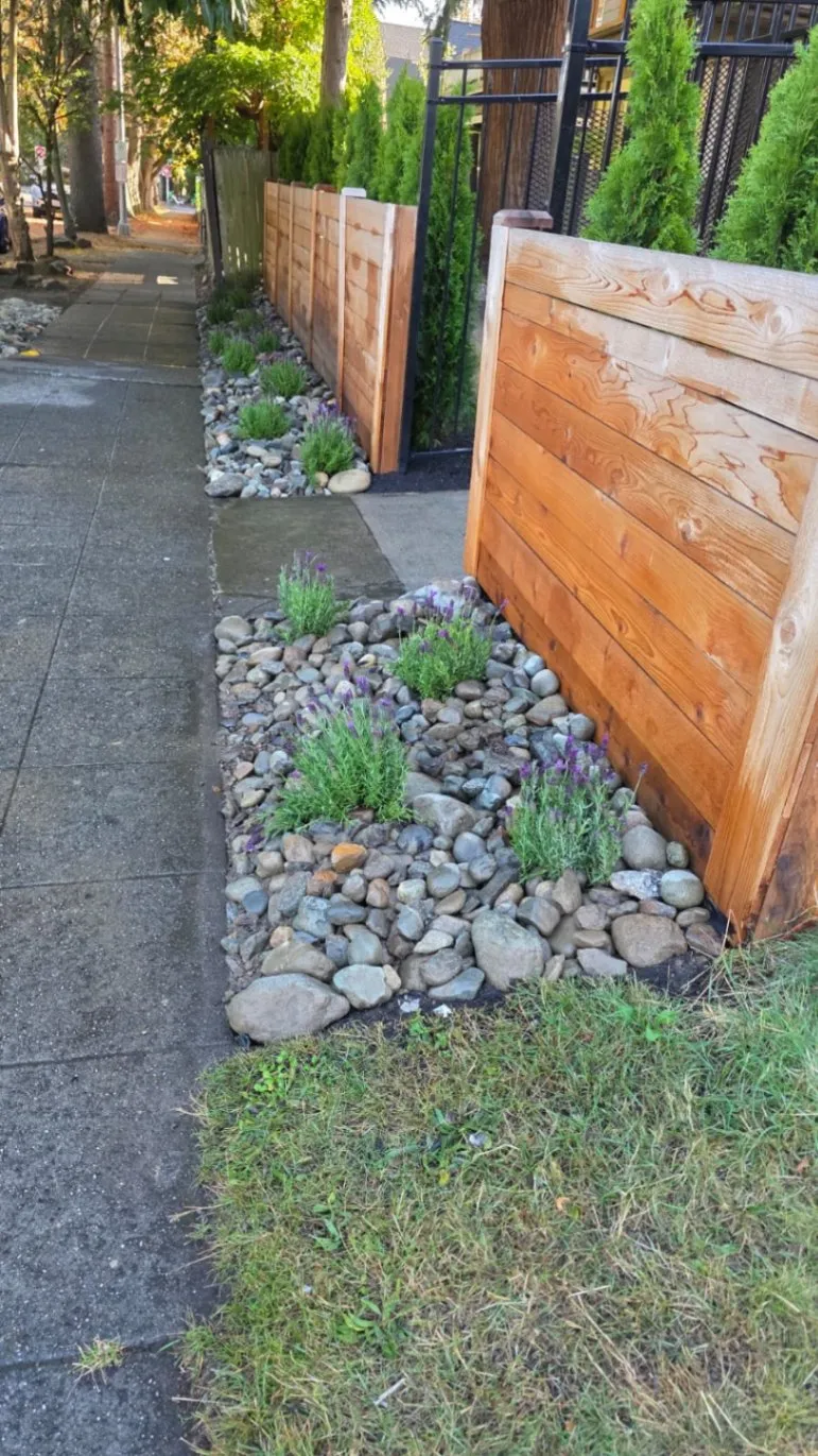 Gallery image 14
