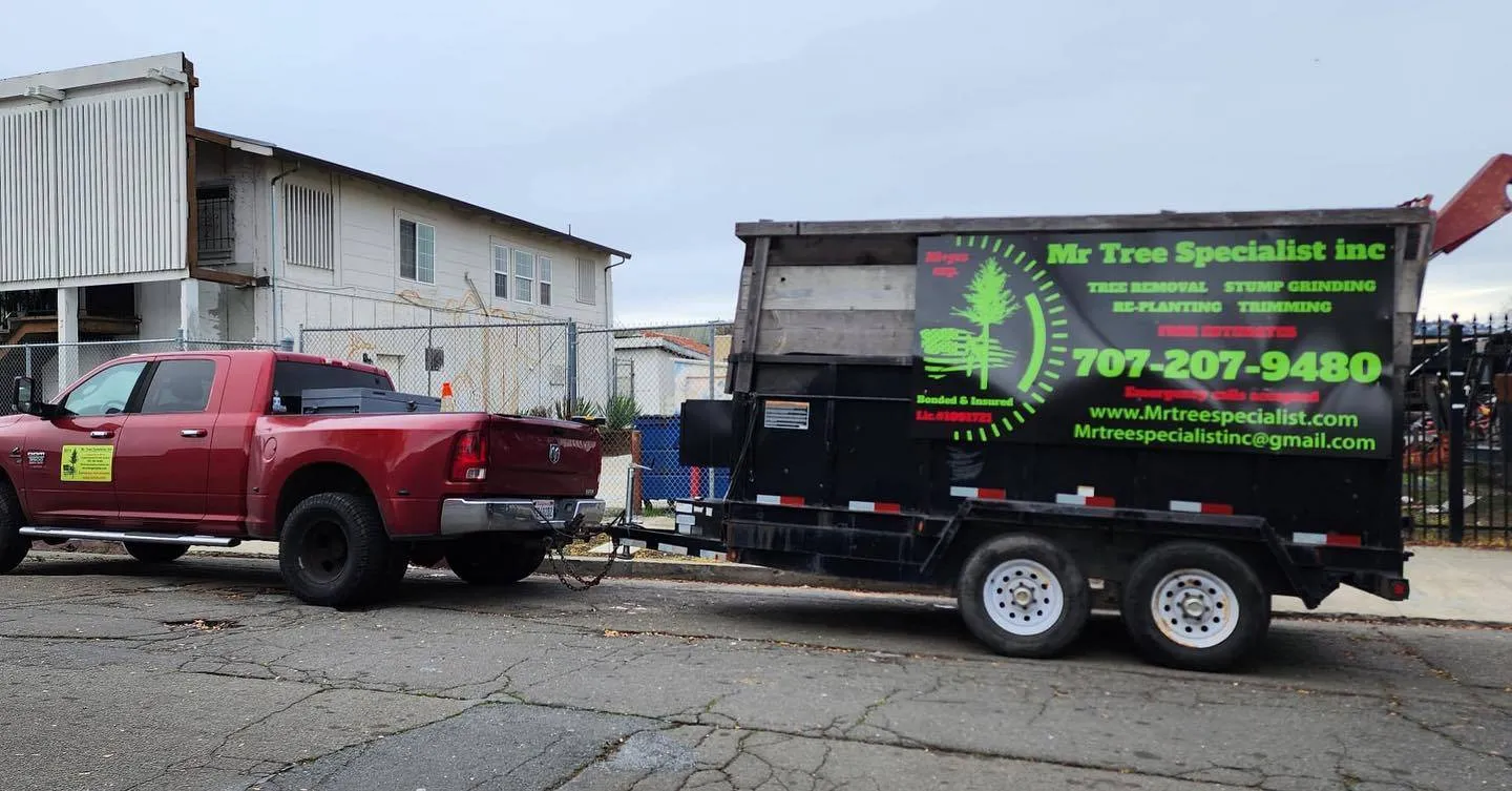 Mr Tree Specialist Inc