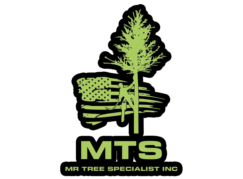 Mr Tree Specialist Inc