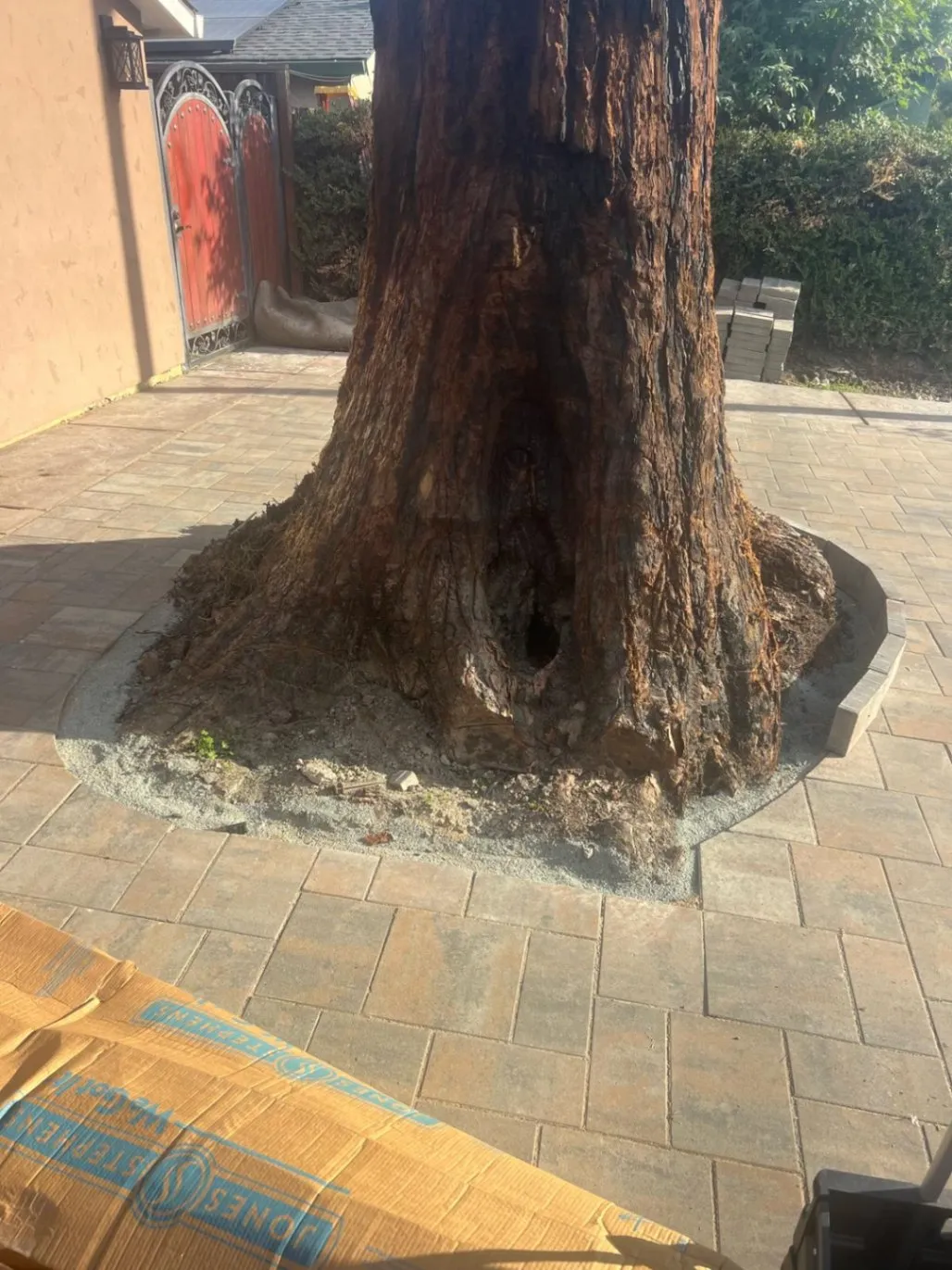 Gallery image 23