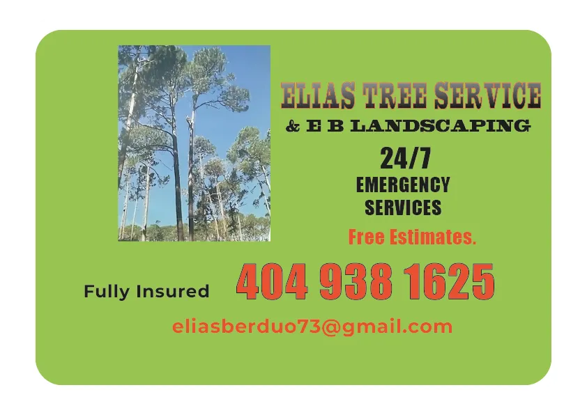 E B Landscaping LLC