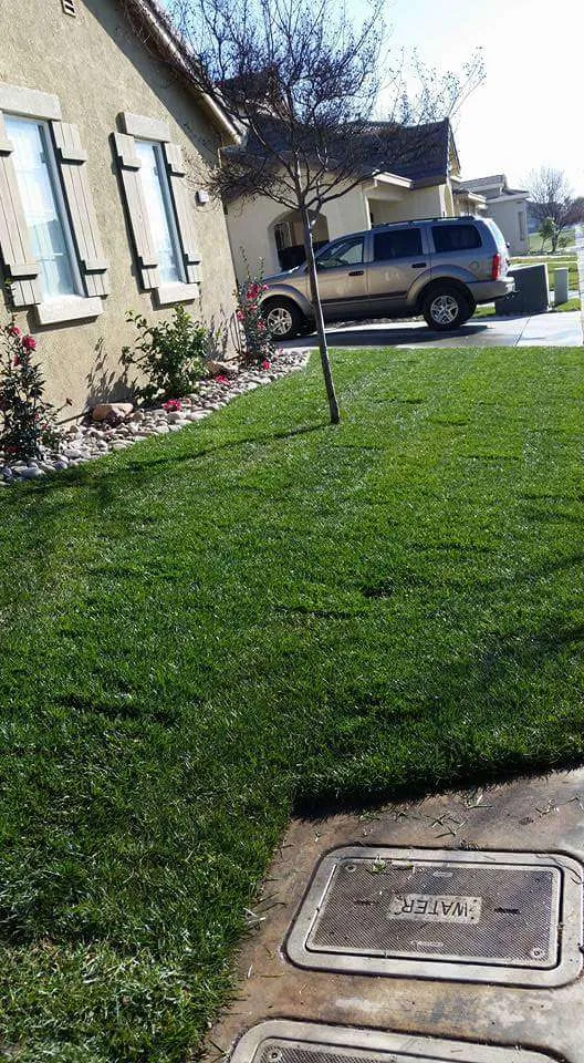 Gardening Maintenance