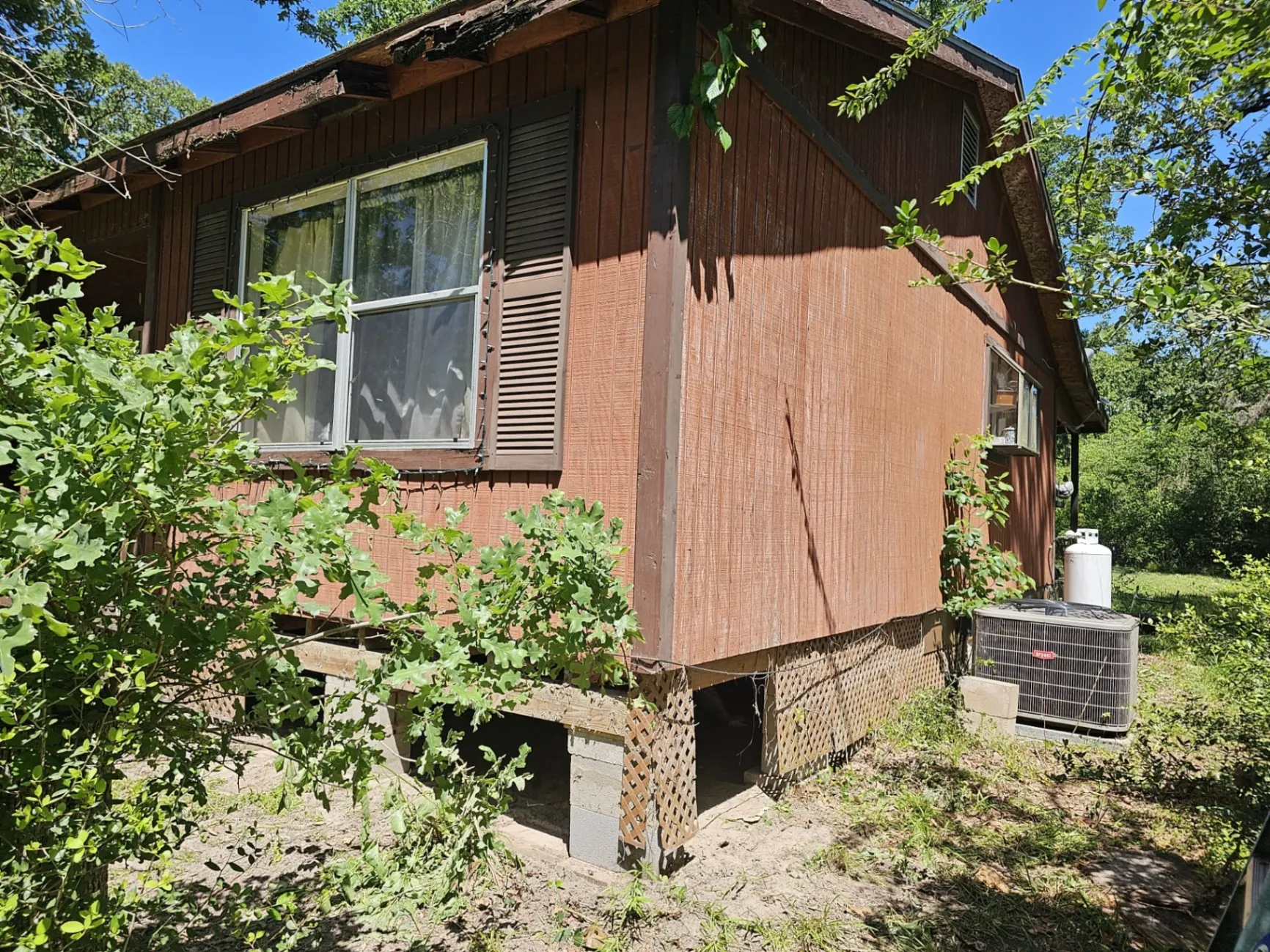 Gallery image 187