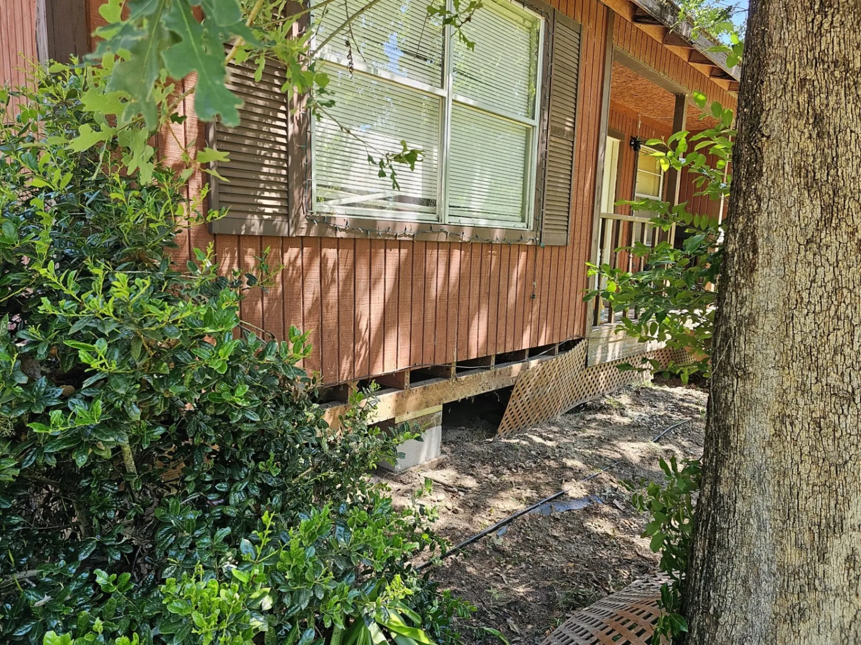 Gallery image 188