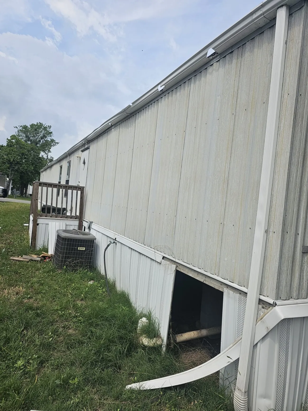 Gallery image 191