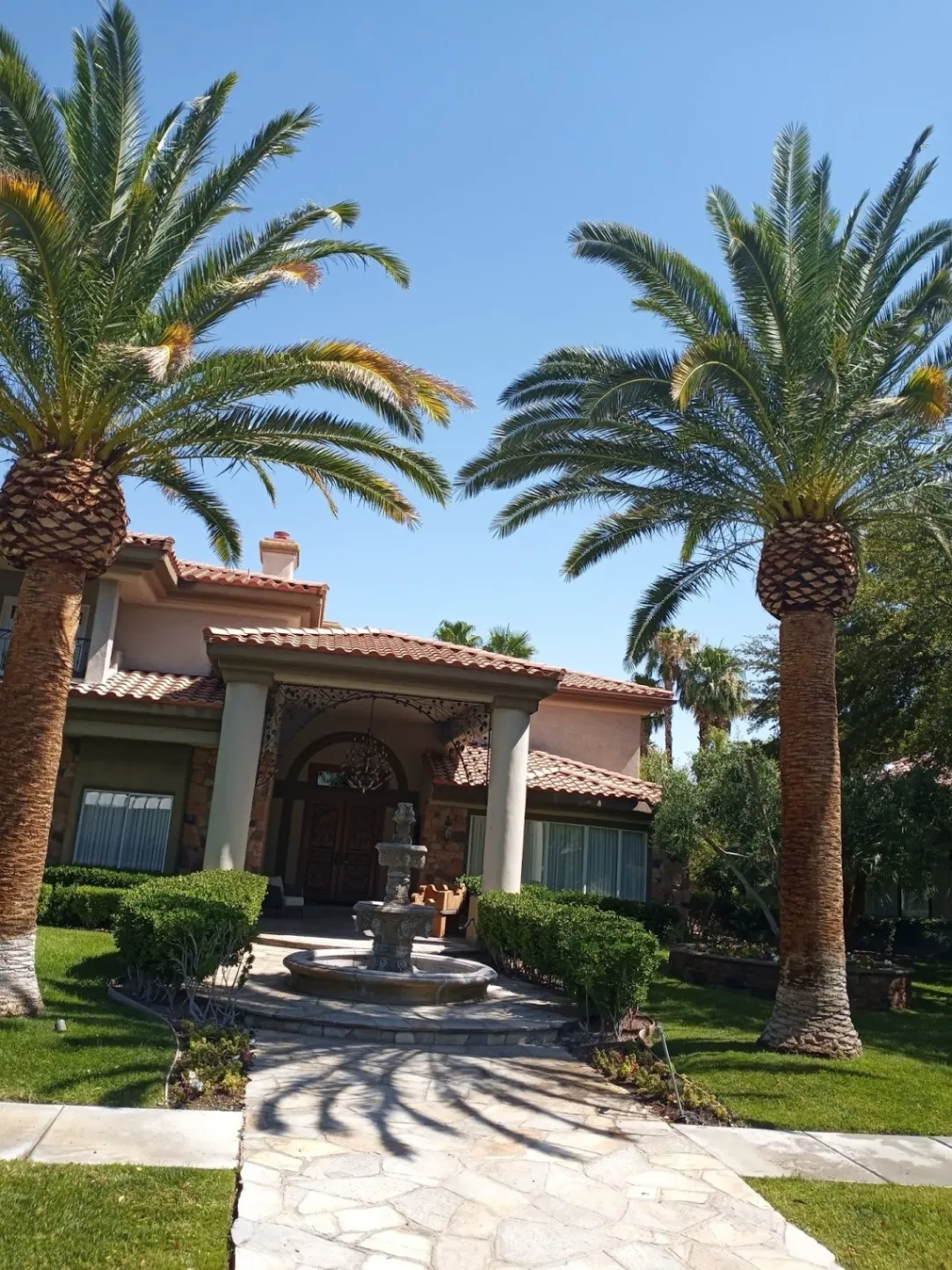 Image showing {dataGlobal.name}