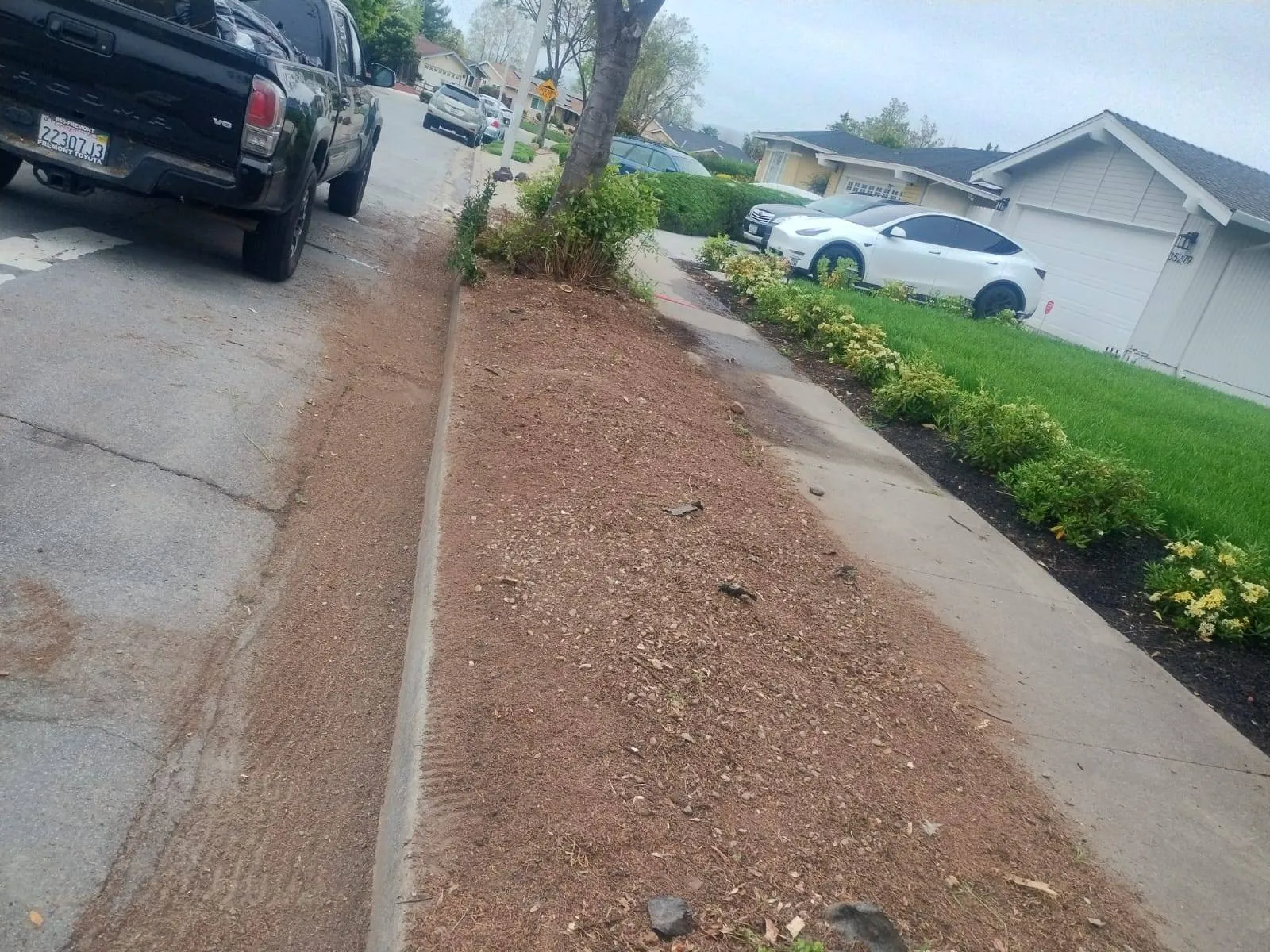 Mendoza's Landscaping Tree Services