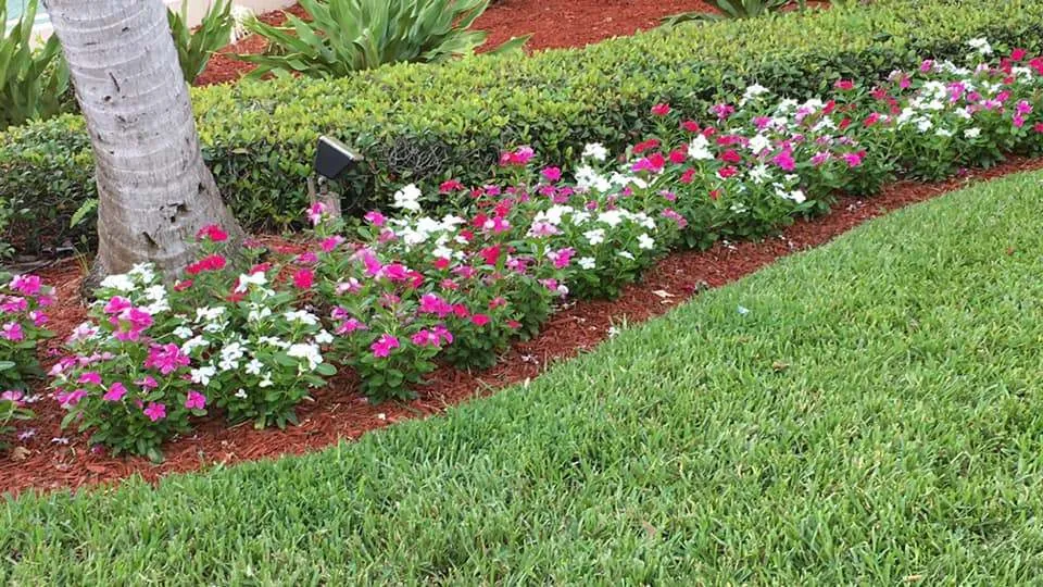 AK Landscaping Maintenance Inc